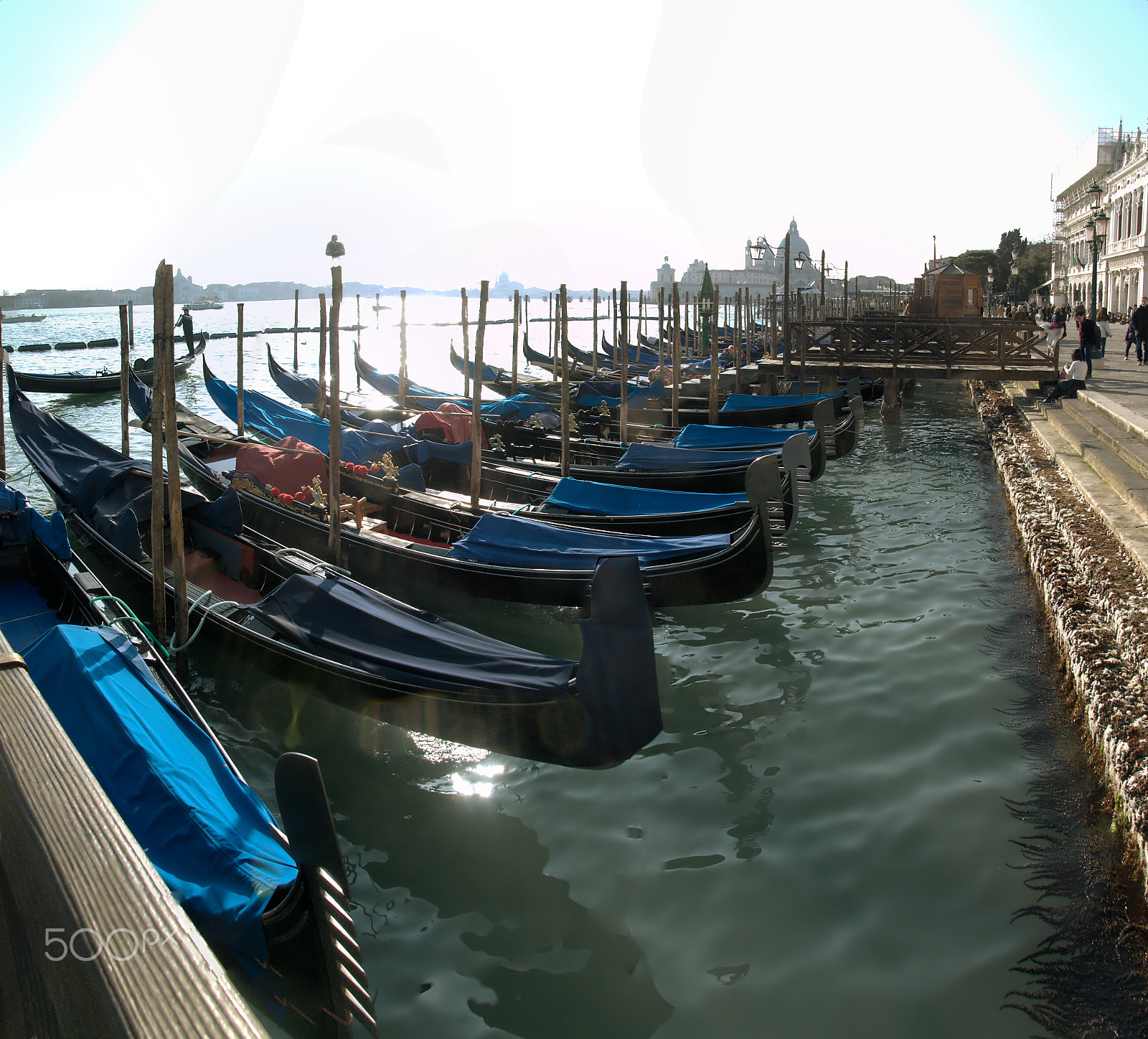 Nikon D300 sample photo. Gondolas roosting photography