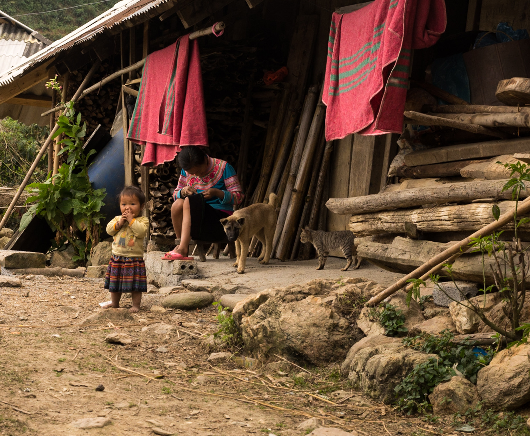 Nikon D600 + Nikon AF-S Nikkor 50mm F1.8G sample photo. Sapa family life photography