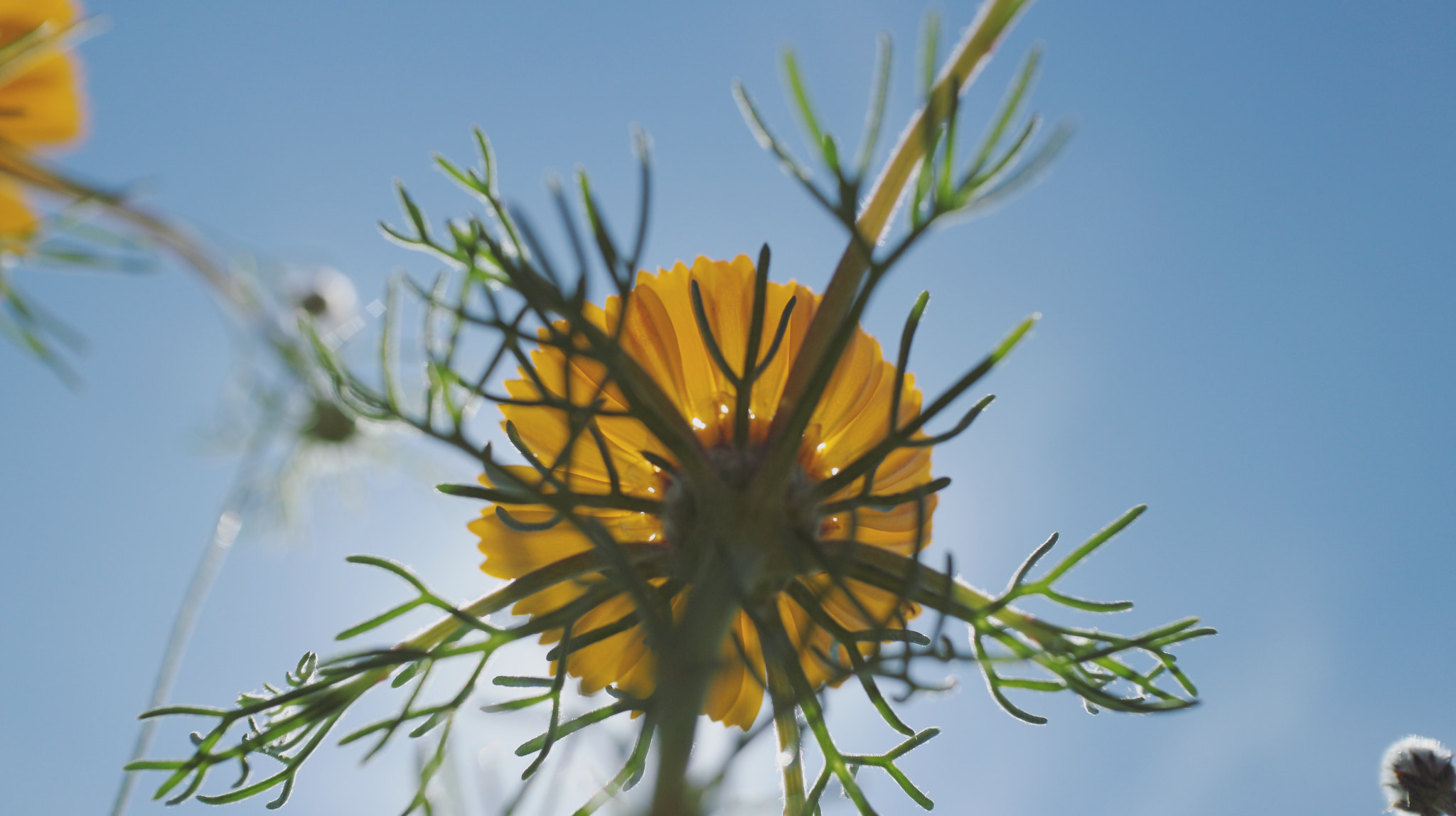 Canon EF-M 22mm F2 STM sample photo