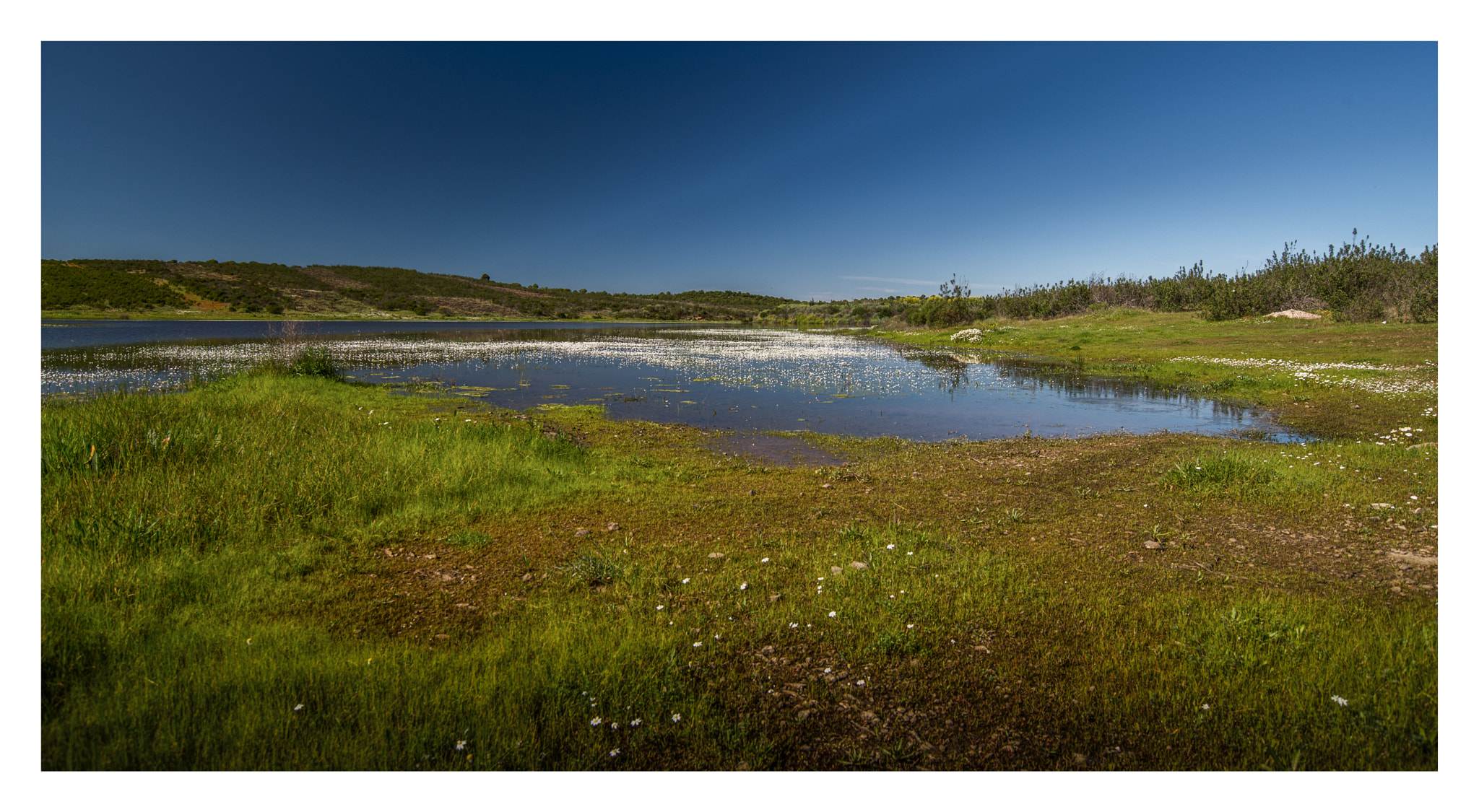 Nikon D610 sample photo. Algarve countryside tavira photography
