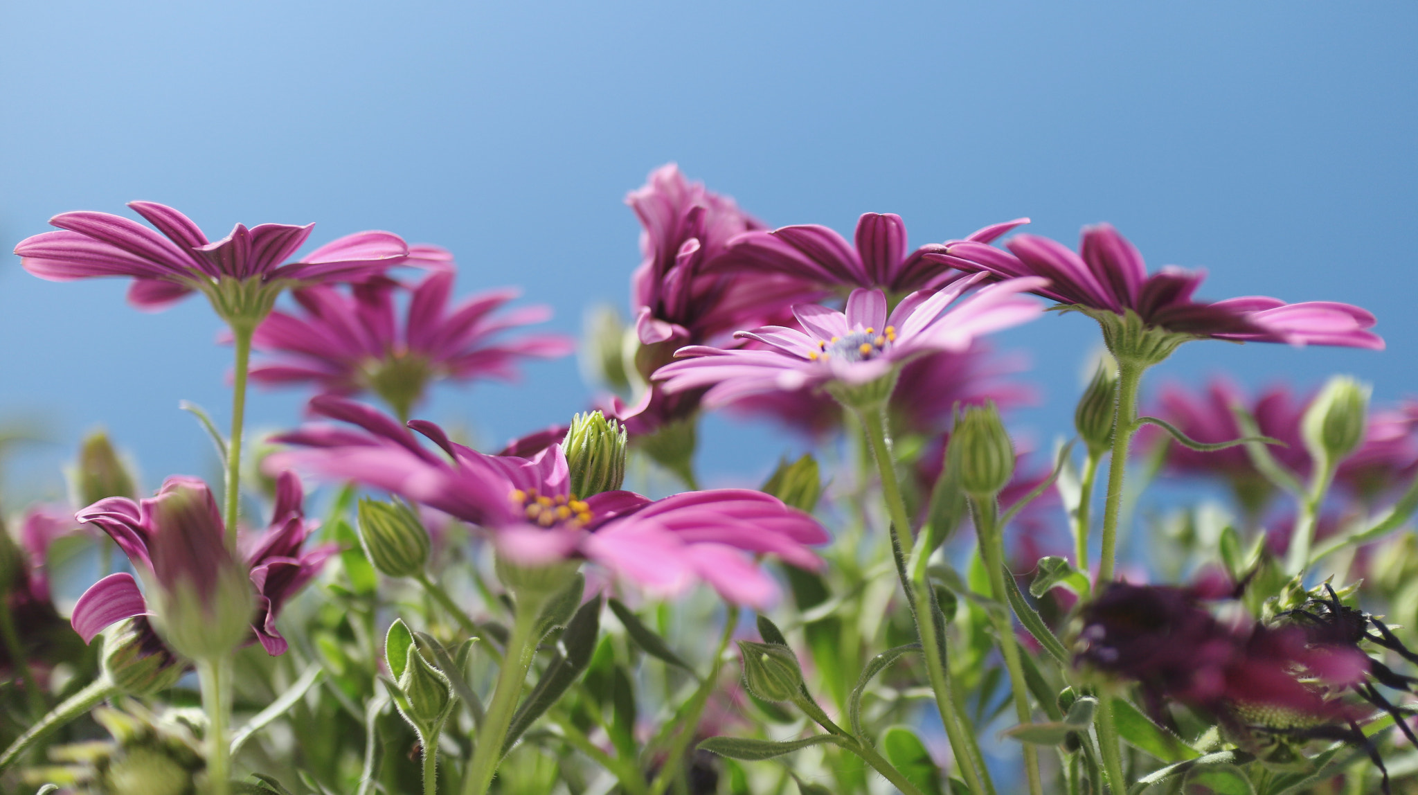 Canon EF-M 22mm F2 STM sample photo