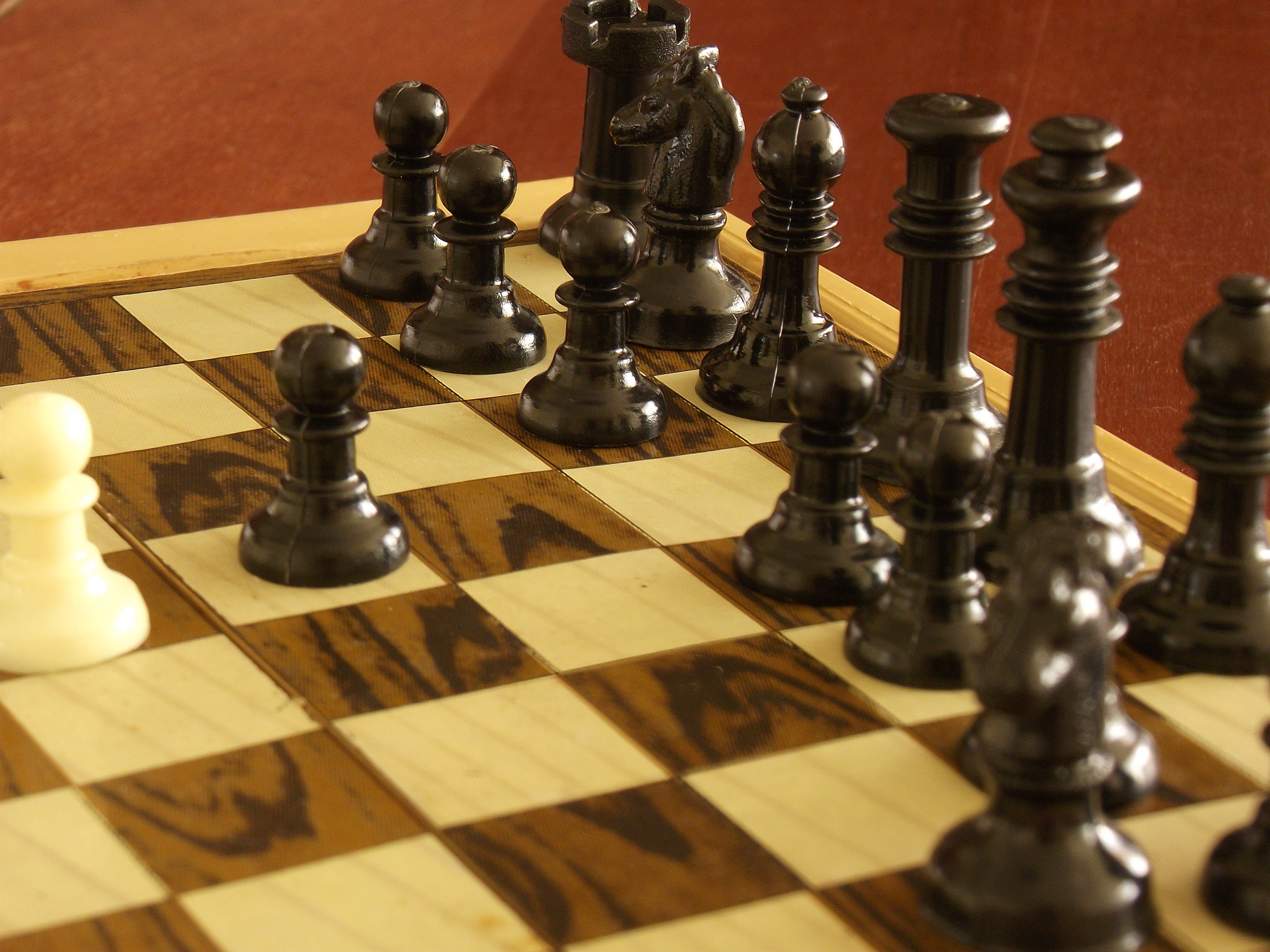 Fujifilm FinePix S2850HD sample photo. Playing chess photography