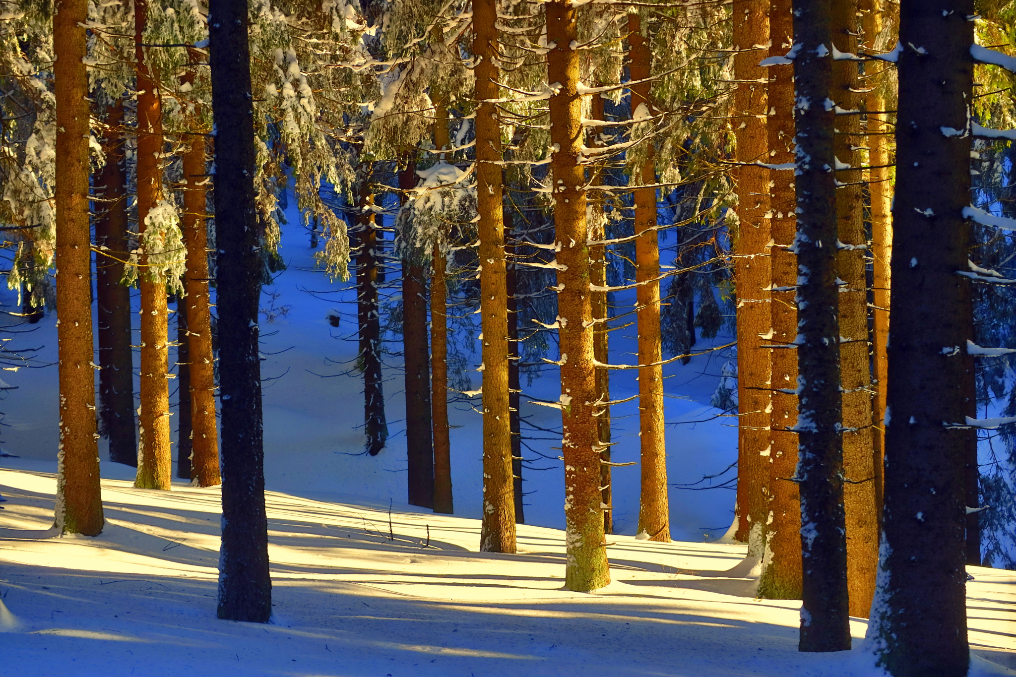 Canon EOS M3 sample photo. Winter in the mountain photography