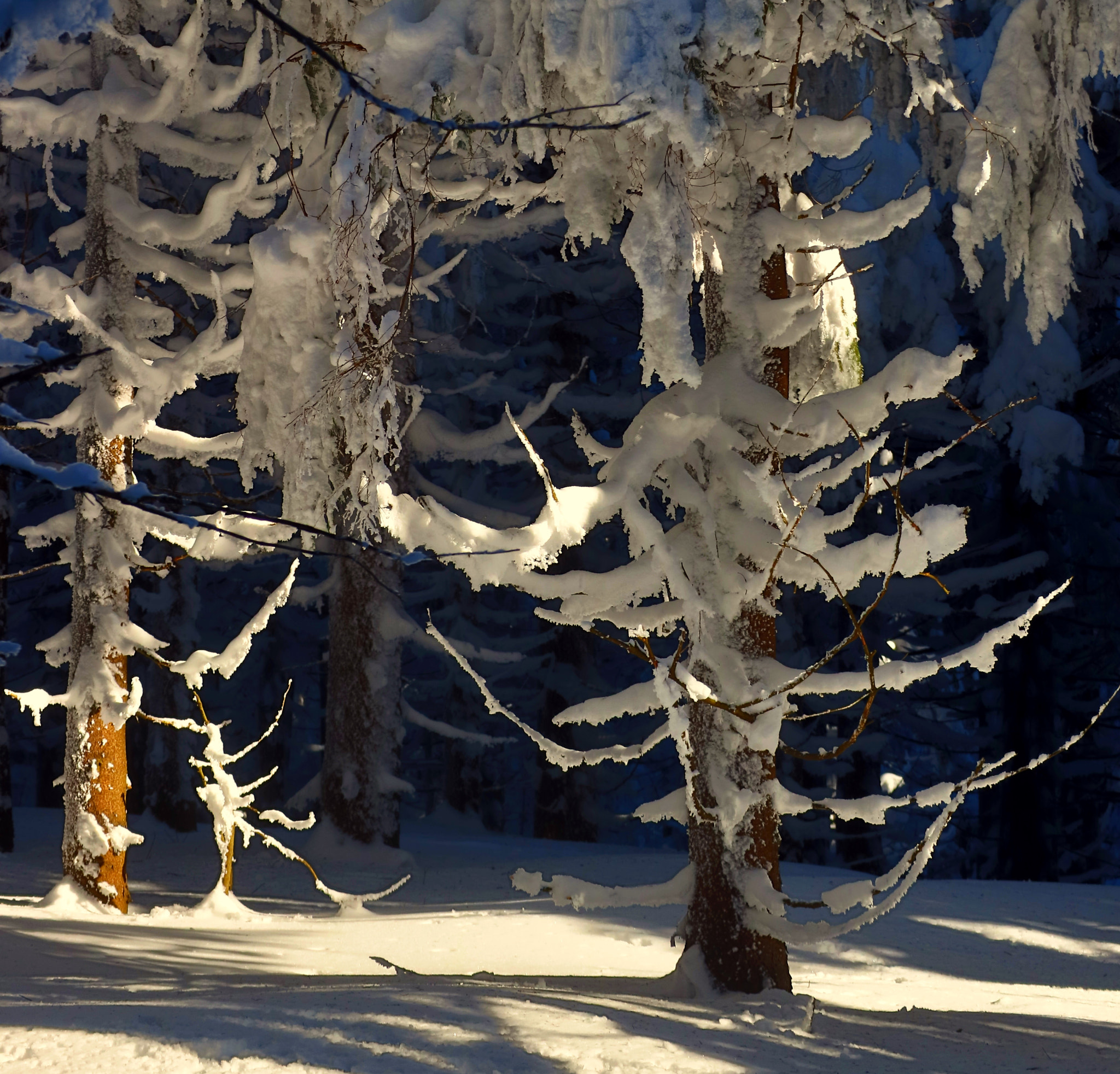 Canon EOS M3 sample photo. Winter in the mountain photography