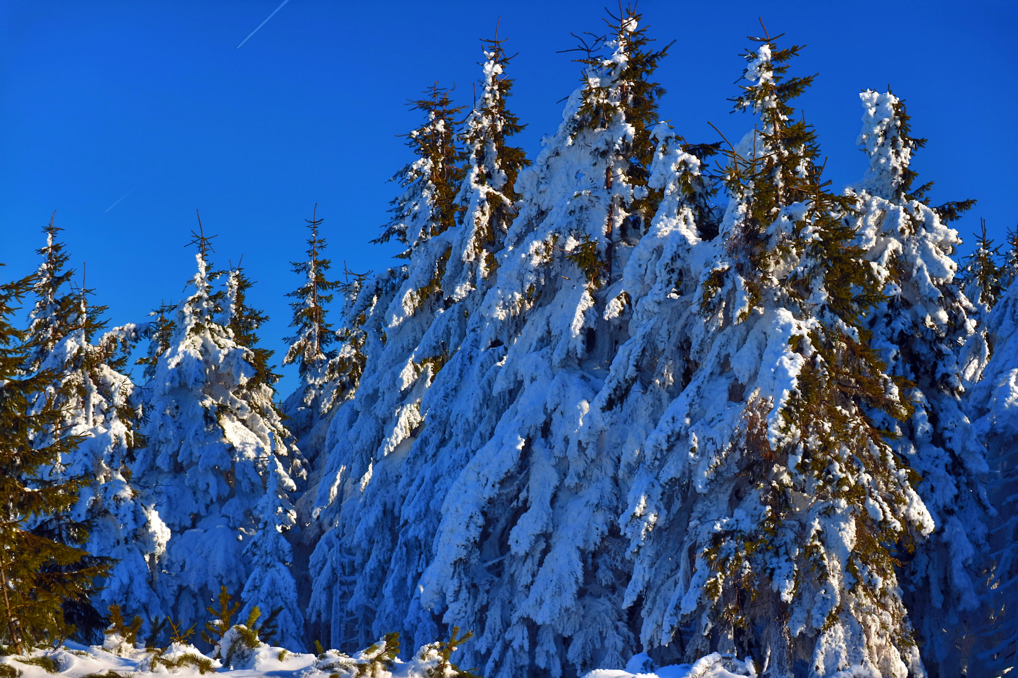 Canon EOS M3 sample photo. Winter in the mountain photography