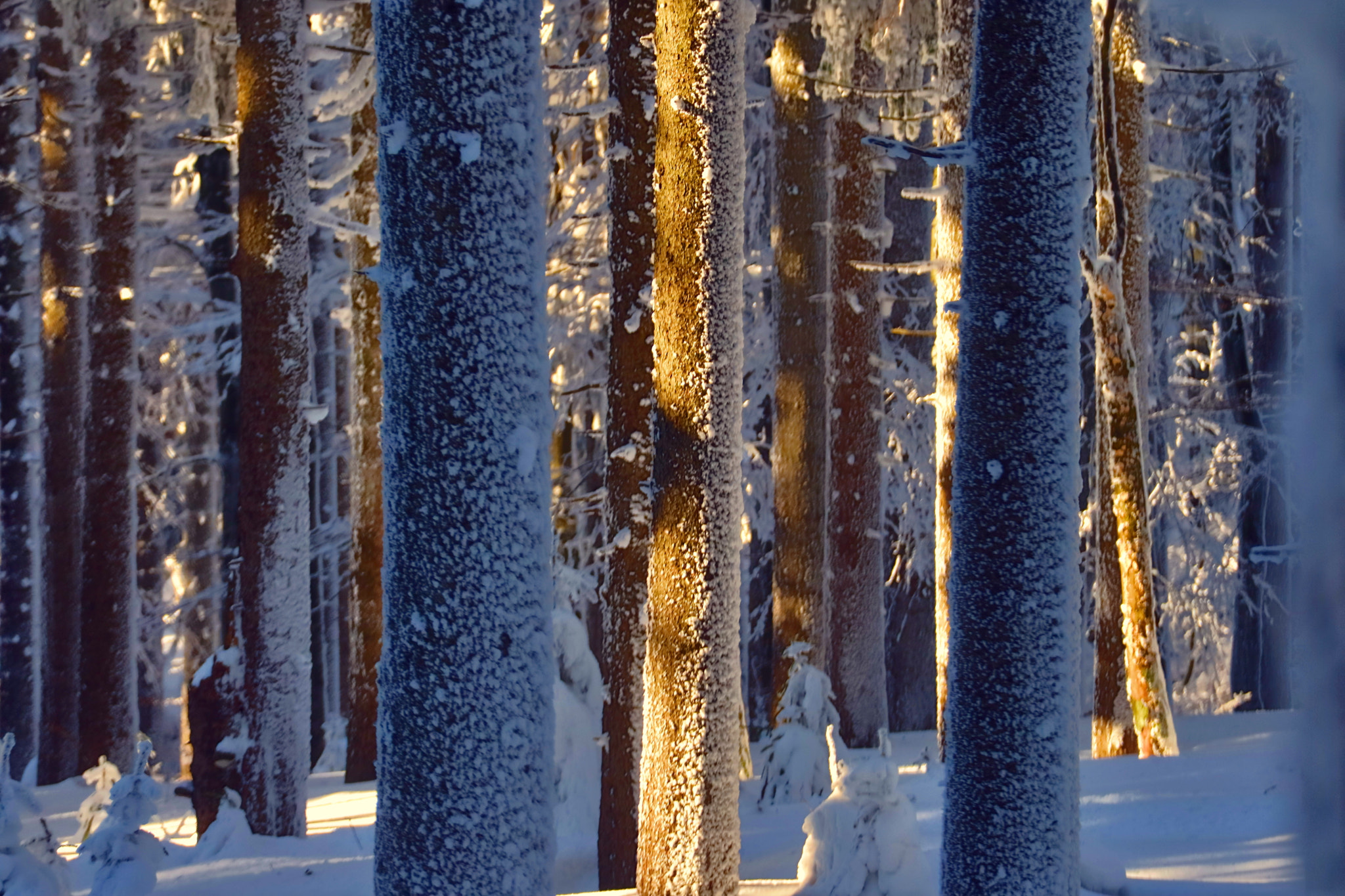 Canon EOS M3 sample photo. Winter in the mountain photography