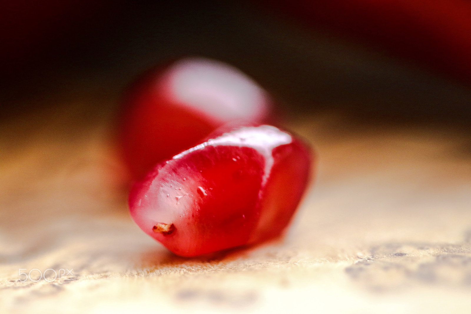 Canon EF 100mm F2.8 Macro USM sample photo. Simply red photography