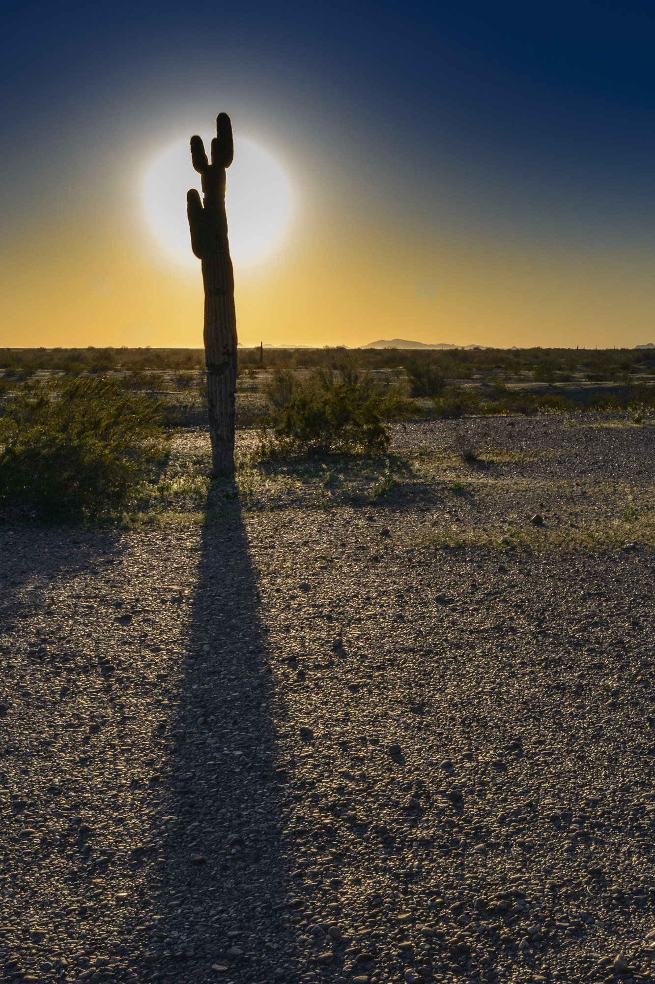 Nikon AF-S Nikkor 16-35mm F4G ED VR sample photo. Dsc photography