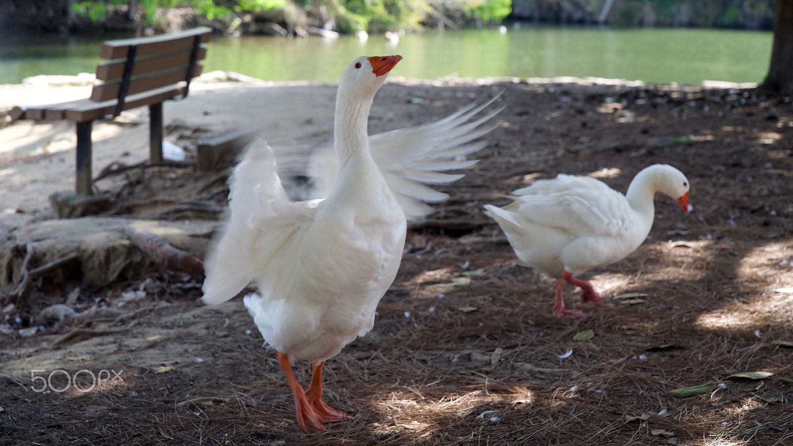 Sony a7S II sample photo. There's a little give and take photography