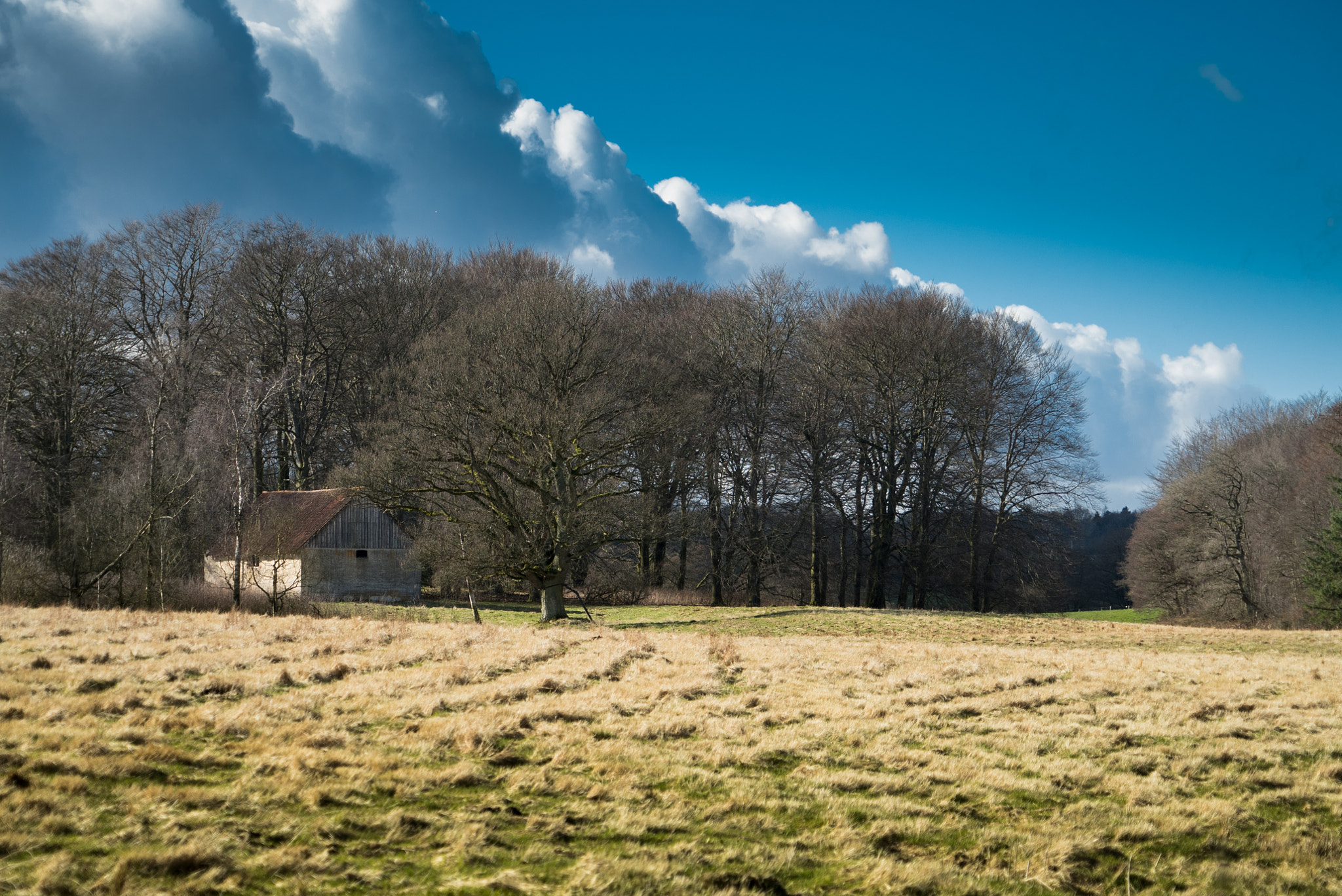 Sony a7S II + Sony FE 24-240mm F3.5-6.3 OSS sample photo. Abandoned house photography