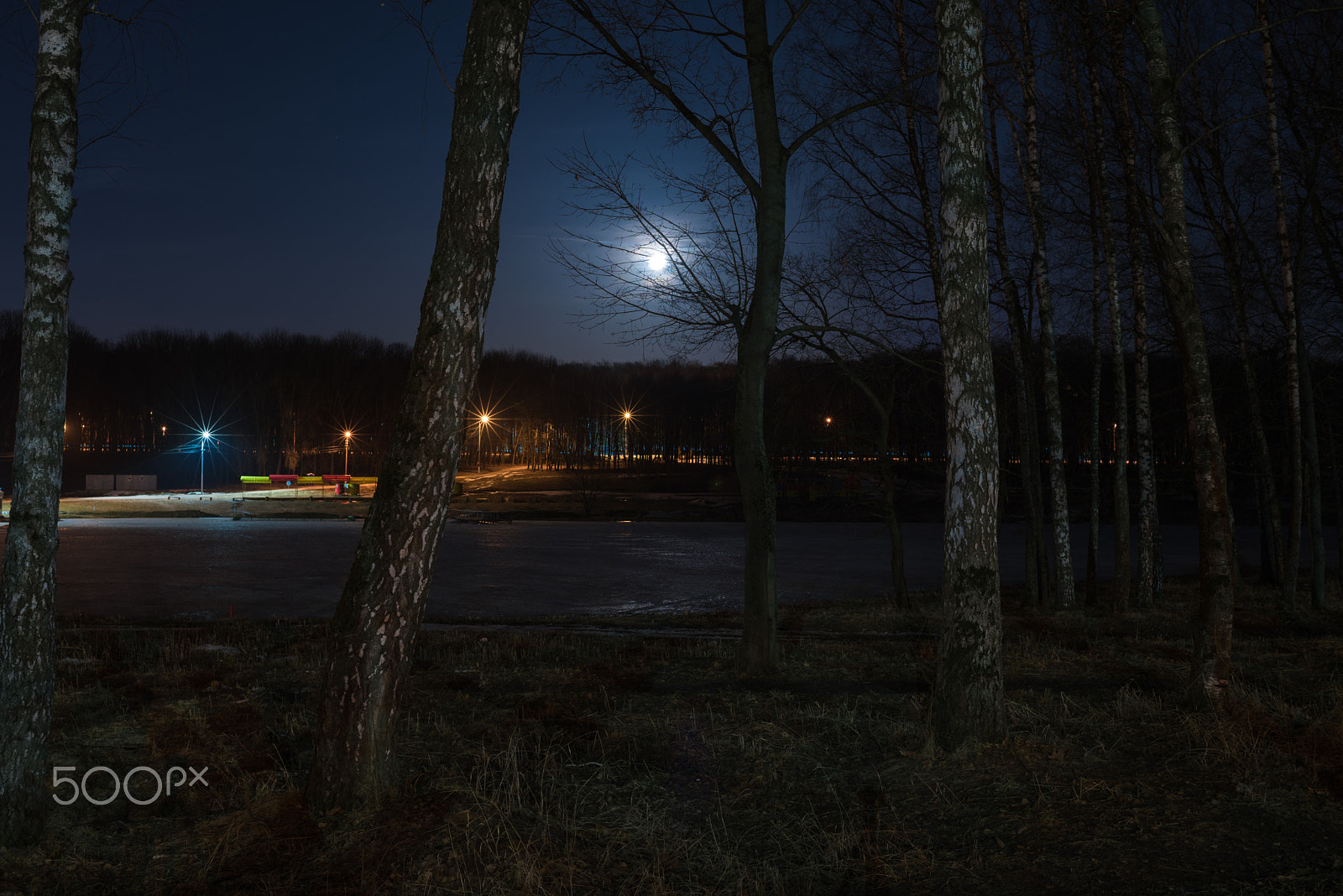 Nikon AF Nikkor 35mm F2D sample photo. Tula park. photography