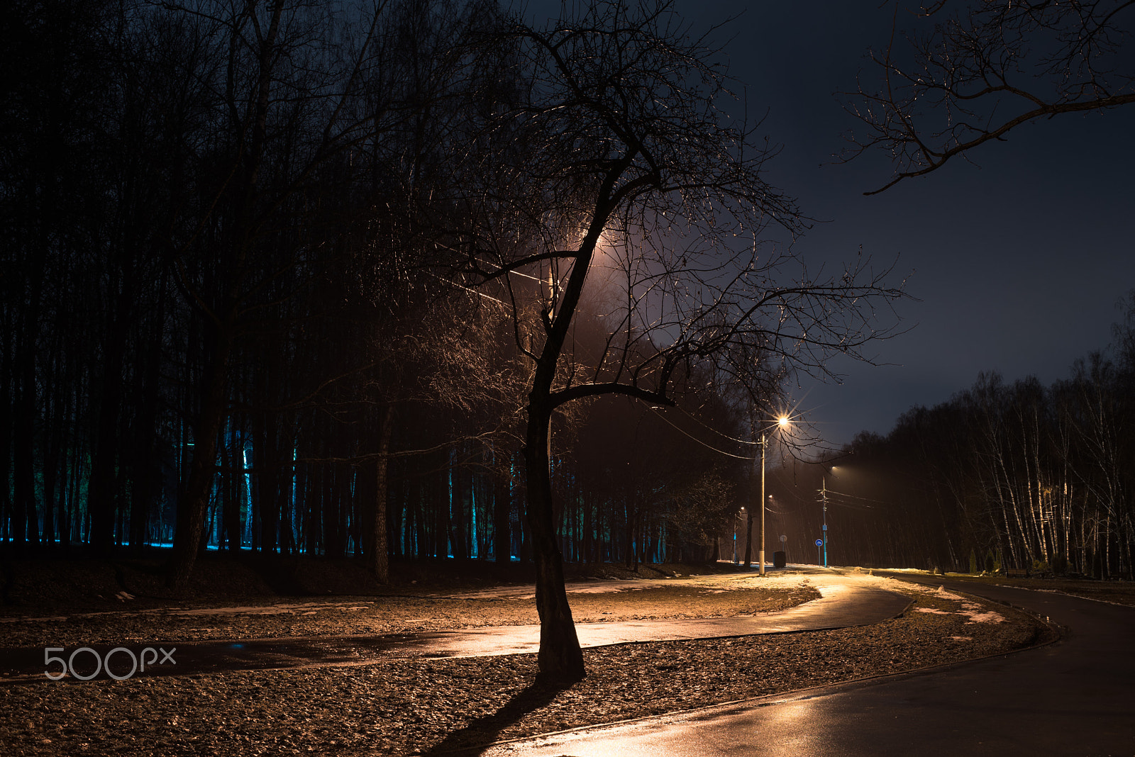 Nikon AF Nikkor 35mm F2D sample photo. Tula park. photography