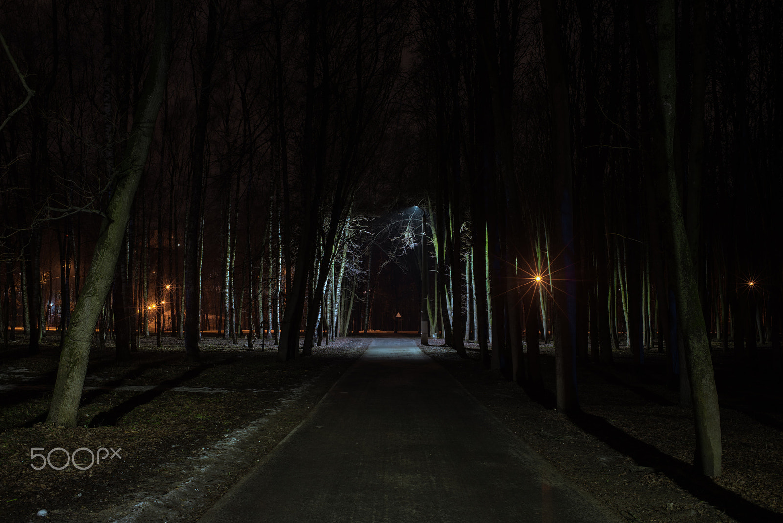 Nikon AF Nikkor 35mm F2D sample photo. Tula park. photography