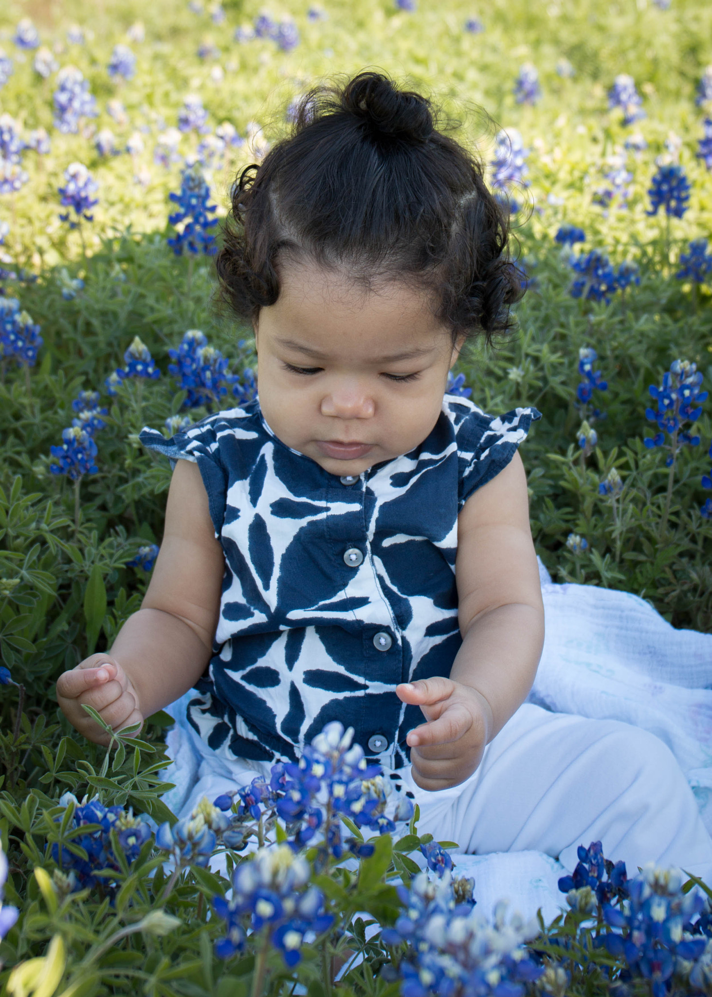Canon EOS 70D sample photo. New to bluebonnets photography