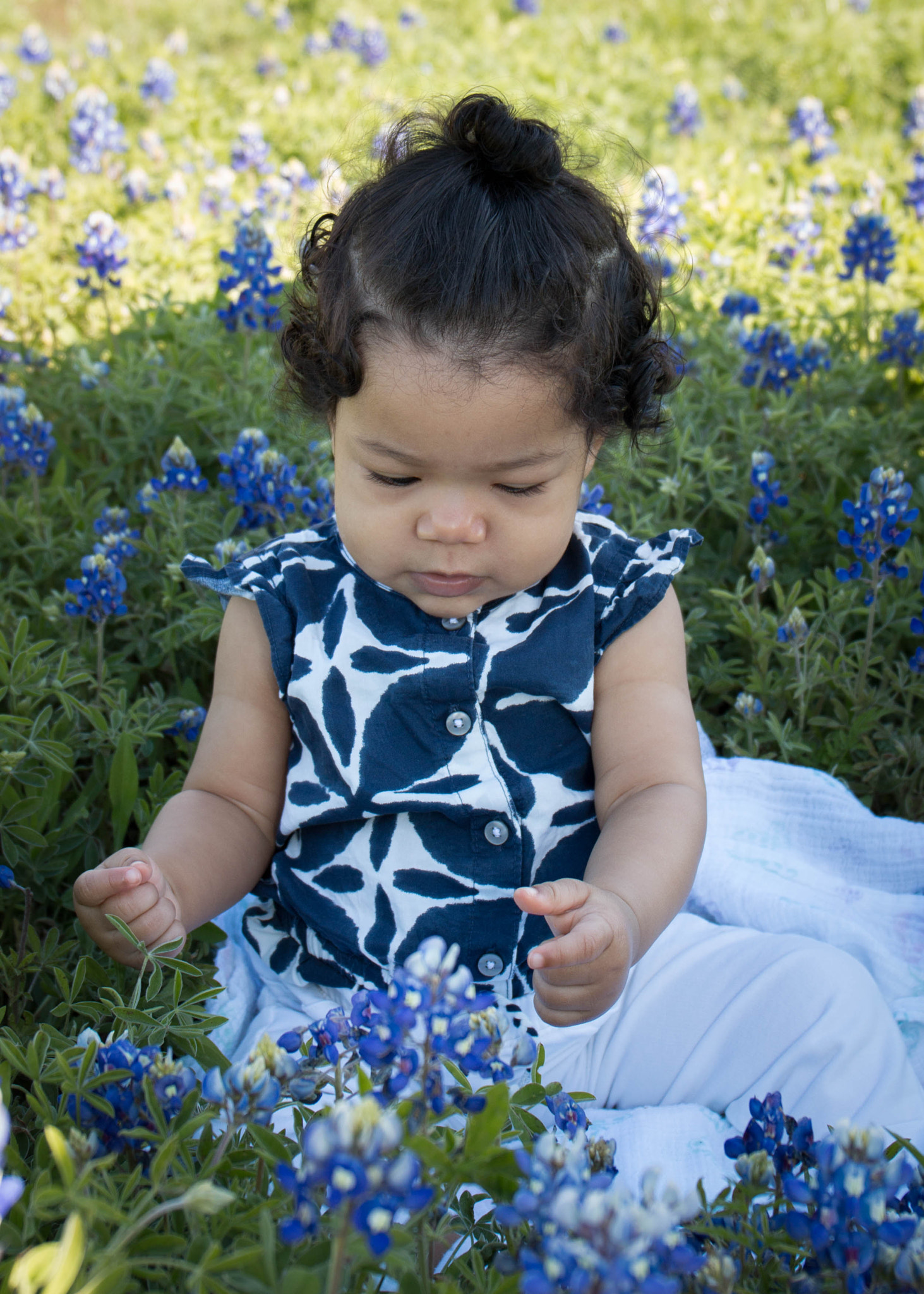 Canon EF 24-70mm F4L IS USM sample photo. New to bluebonnets photography