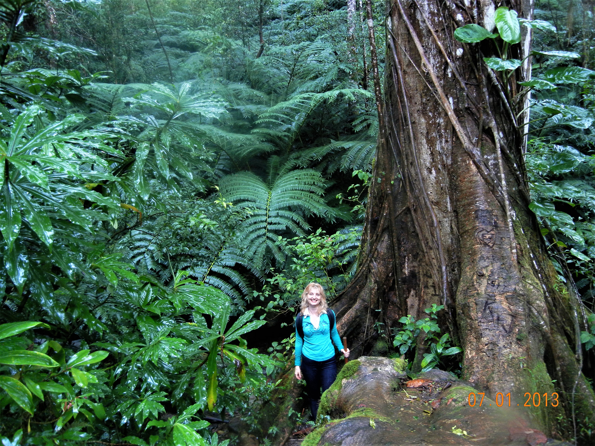 Nikon Coolpix S8100 sample photo. Manoa falls hike photography