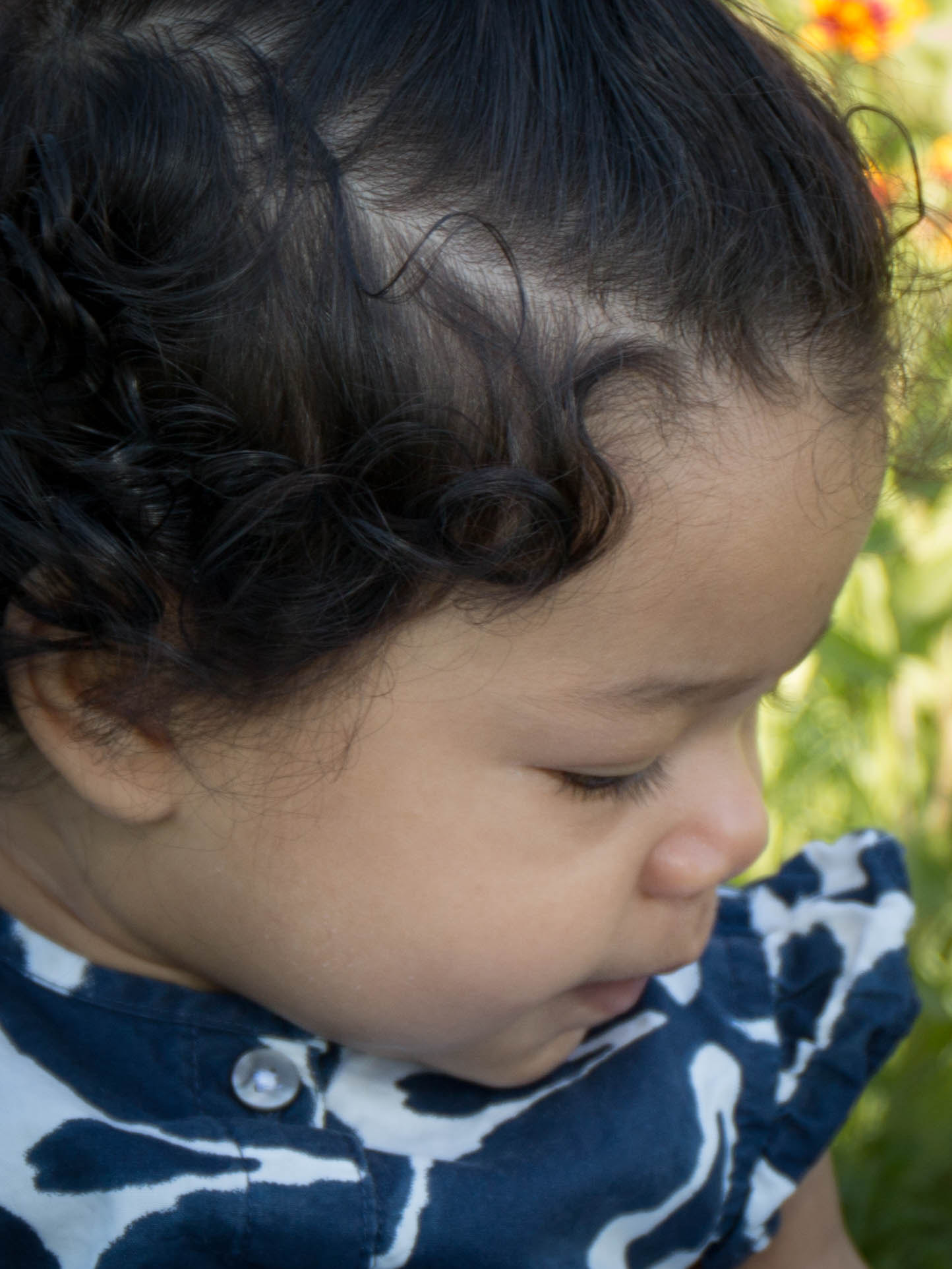 Canon EF 24-70mm F4L IS USM sample photo. Lucia photography
