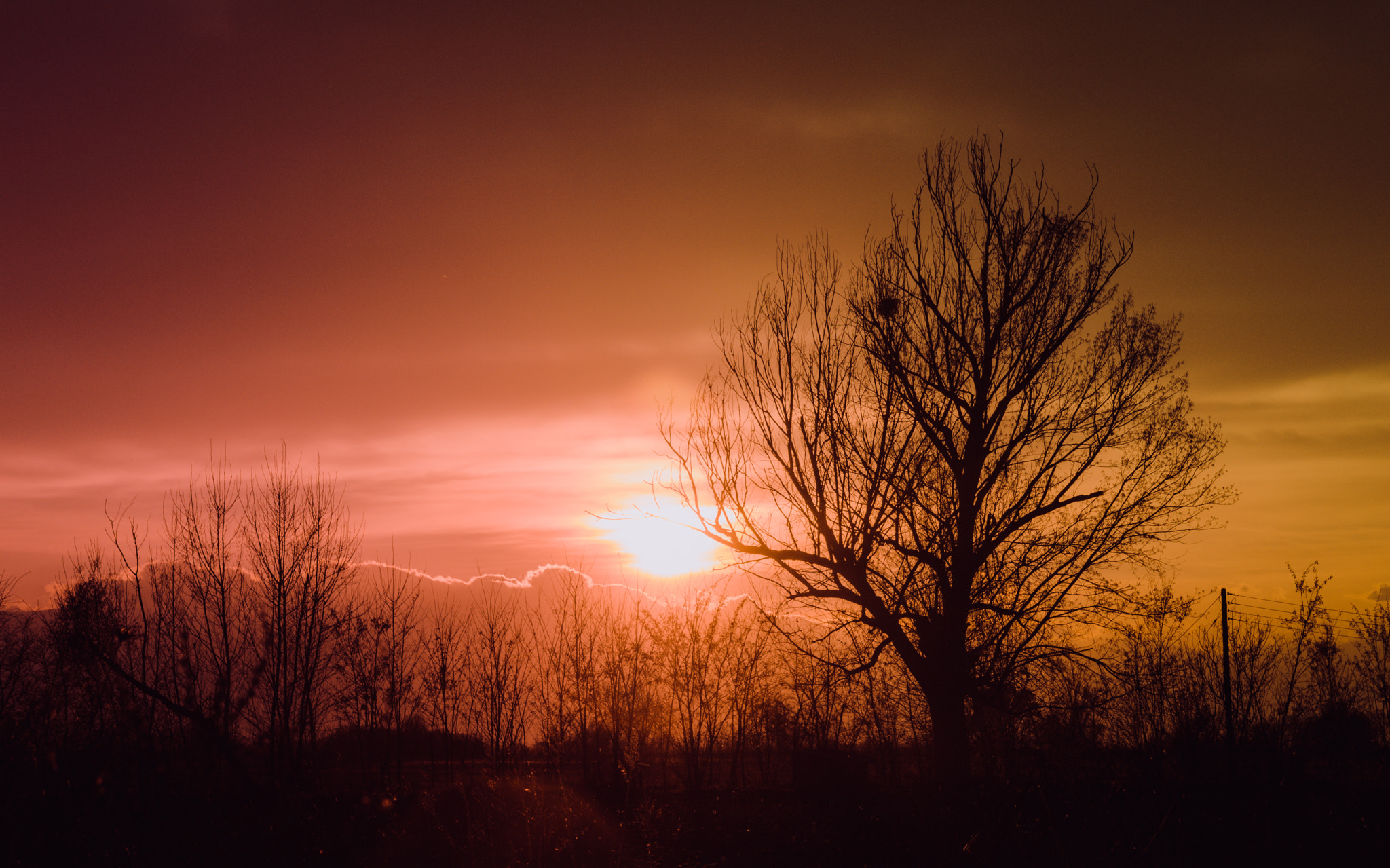 Nikon D3200 sample photo. Sunset photography