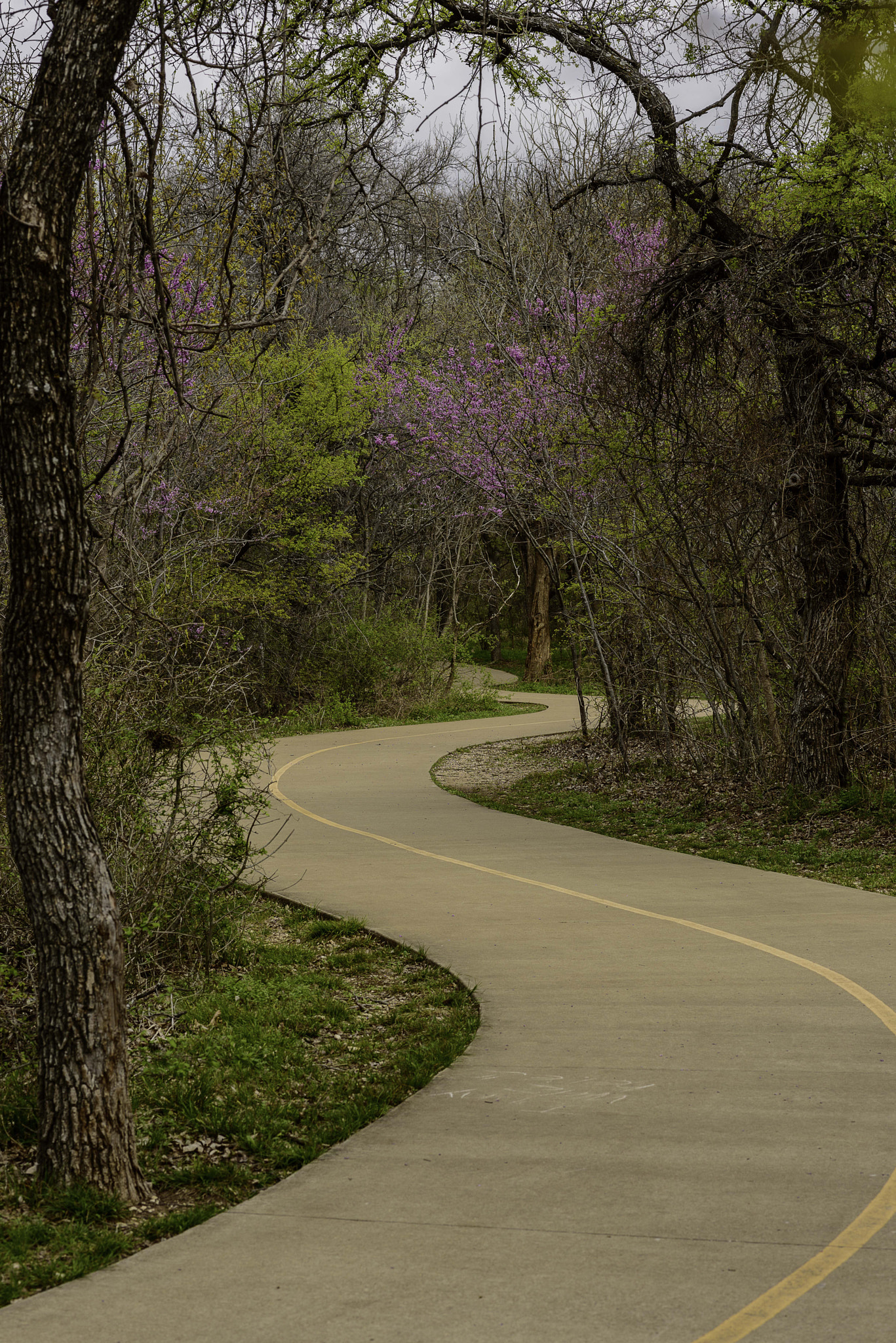 Nikon D800 sample photo. Arbor hills, plano texas photography