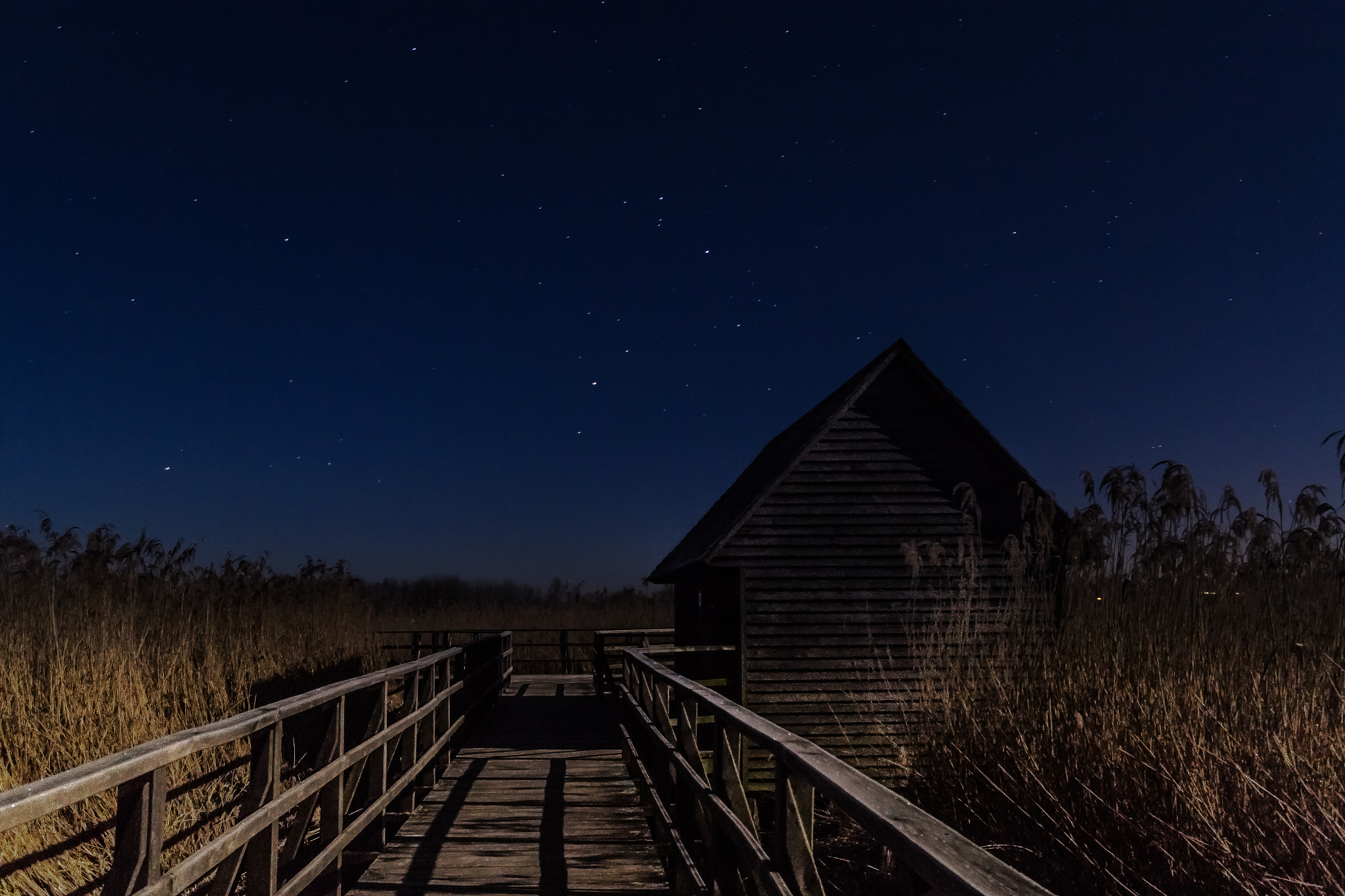 Canon EF-M 22mm F2 STM sample photo. Federsee photography