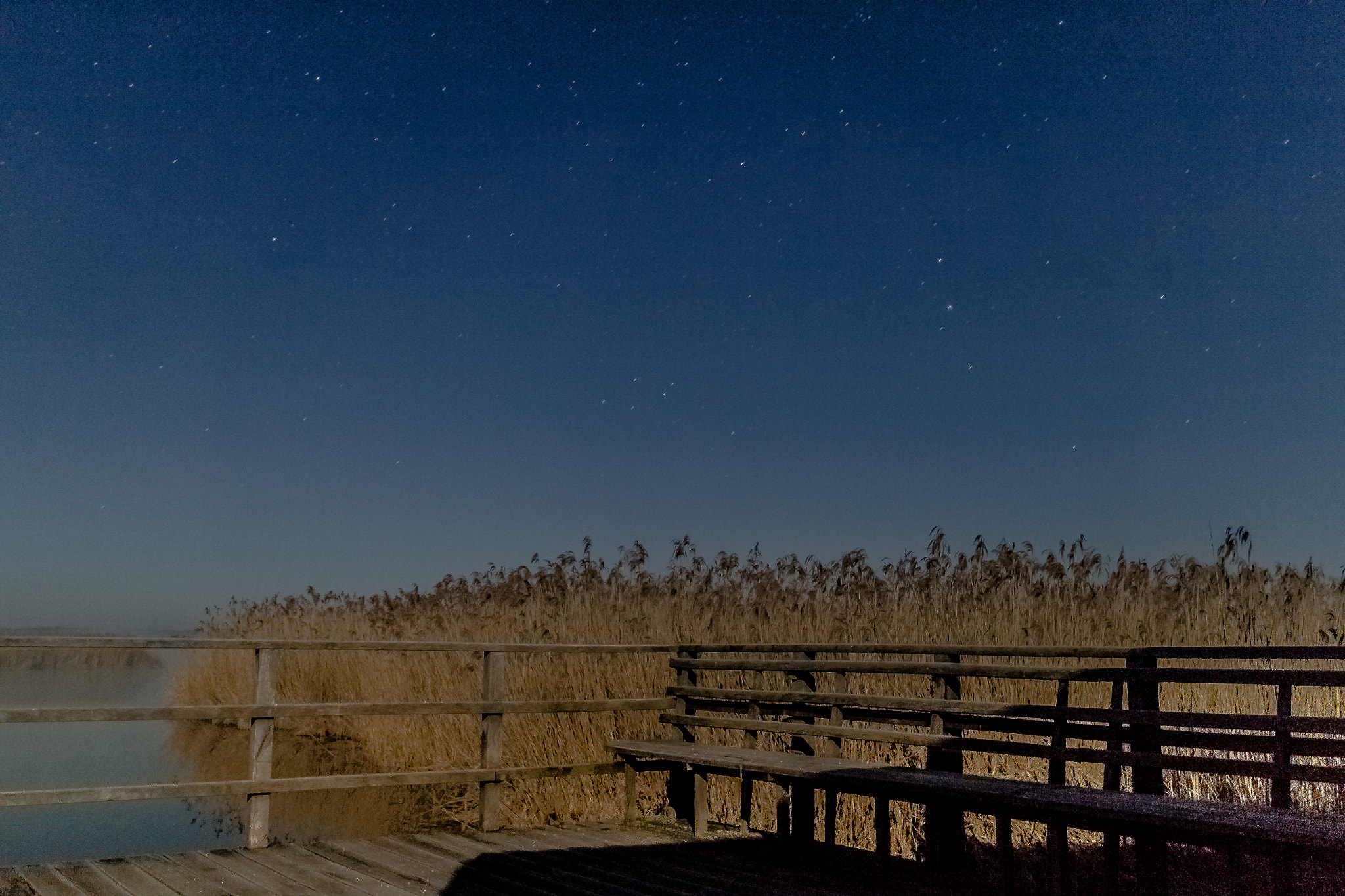 Canon EF-M 22mm F2 STM sample photo. Federsee photography