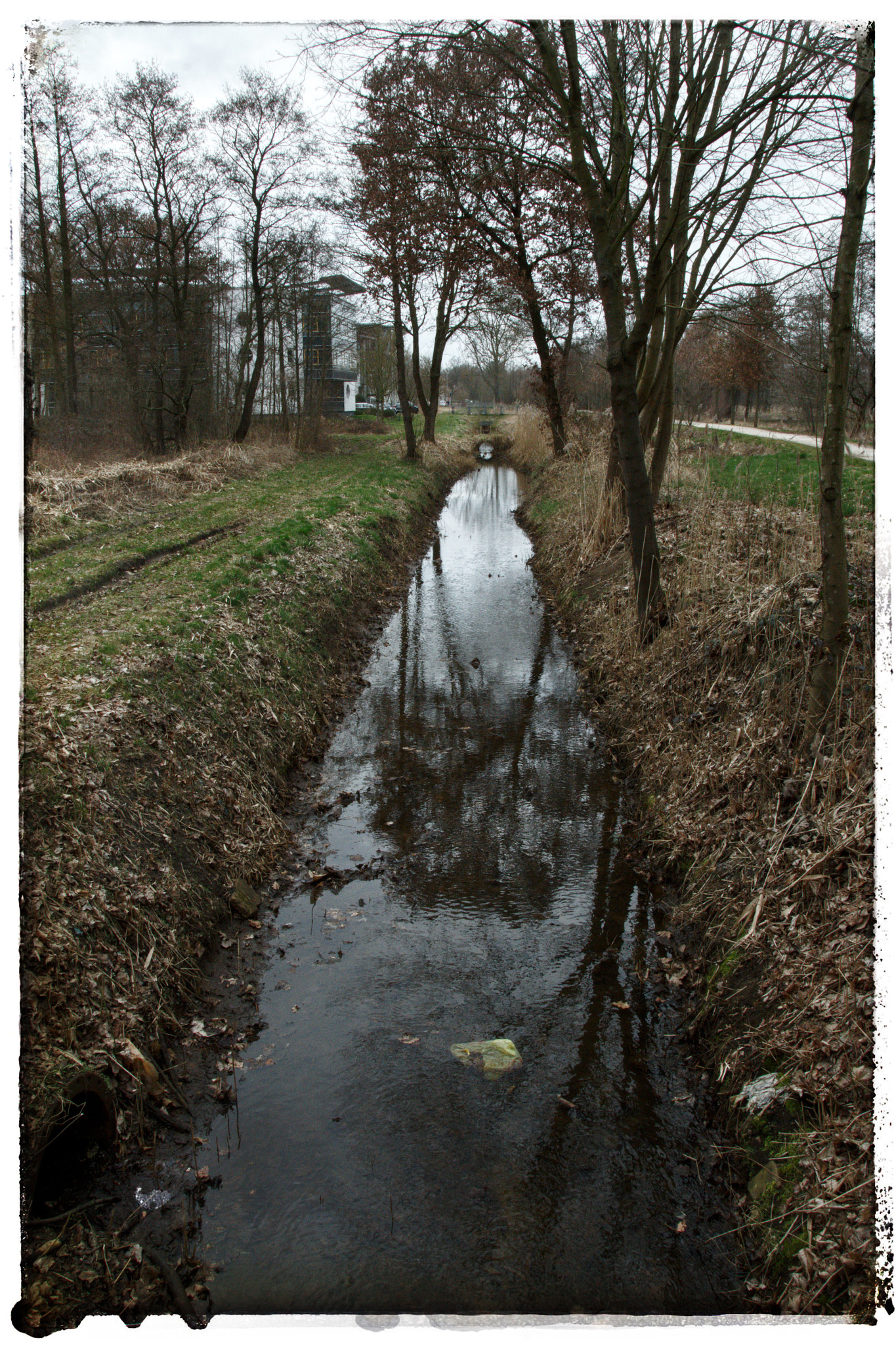 Sigma 18-250mm F3.5-6.3 DC OS HSM sample photo. All along the creek... photography