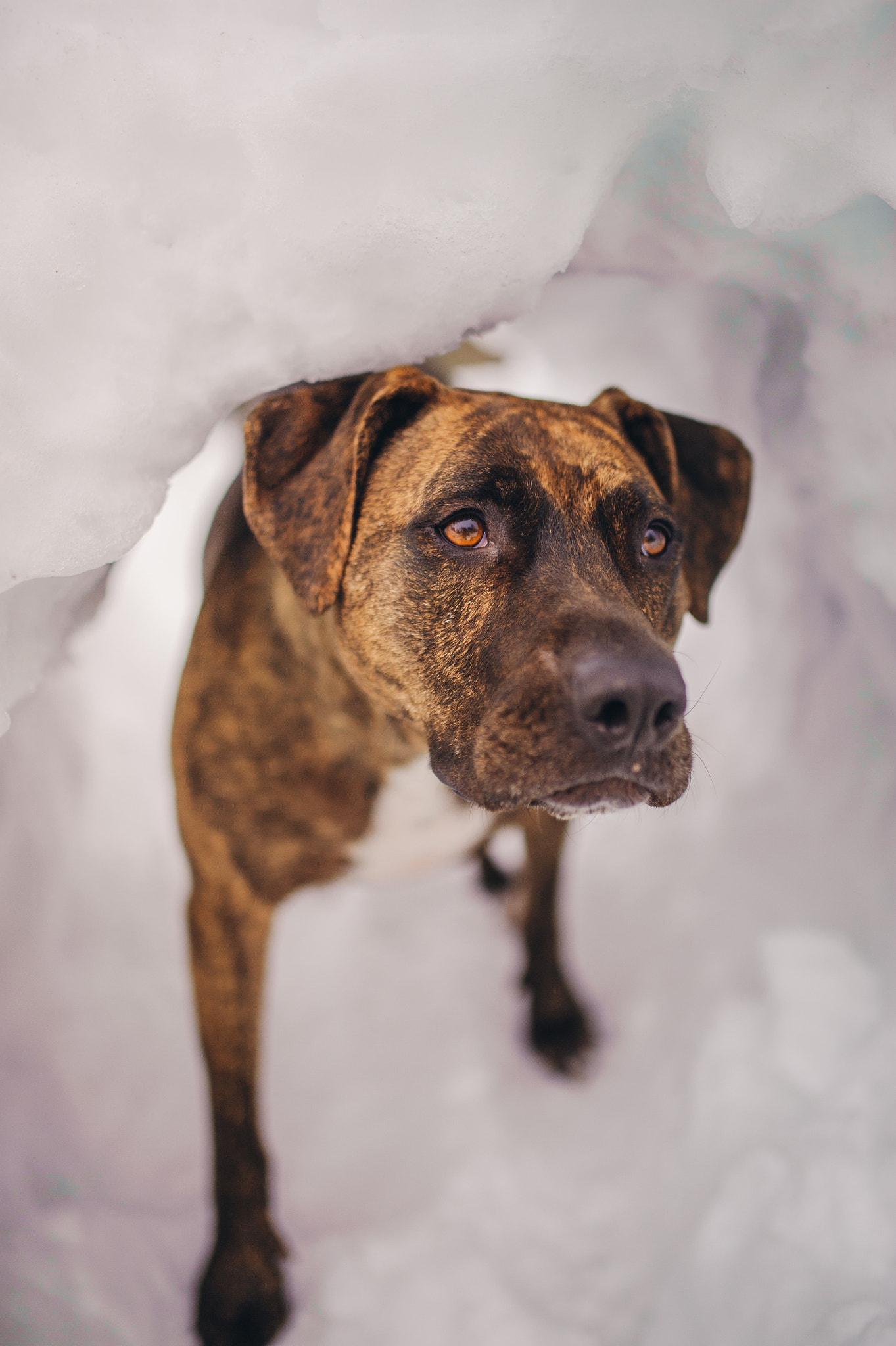 Nikon D700 + Sigma 35mm F1.4 DG HSM Art sample photo. Tia on adventures! photography
