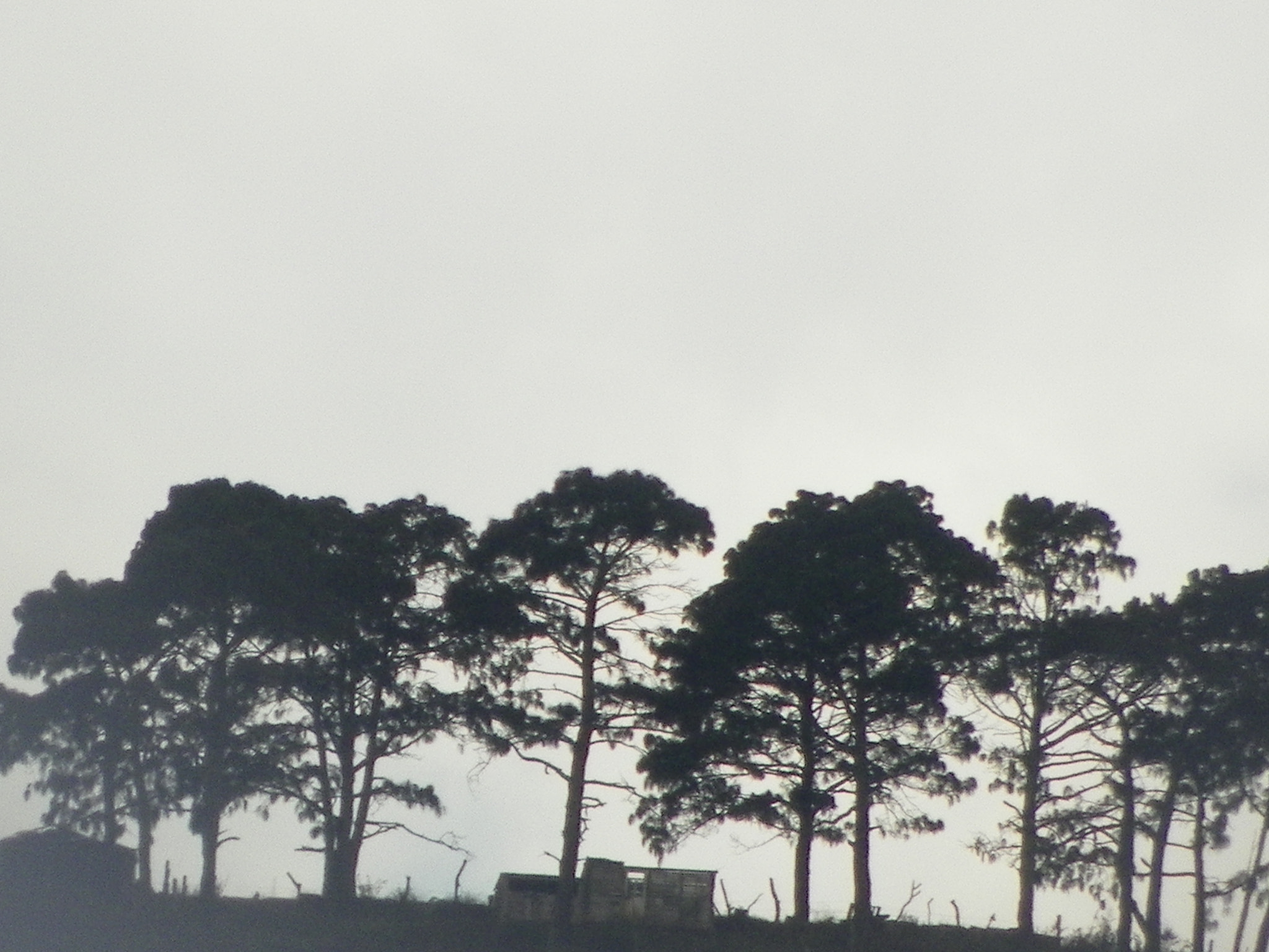 Kodak EasyShare Z981 sample photo