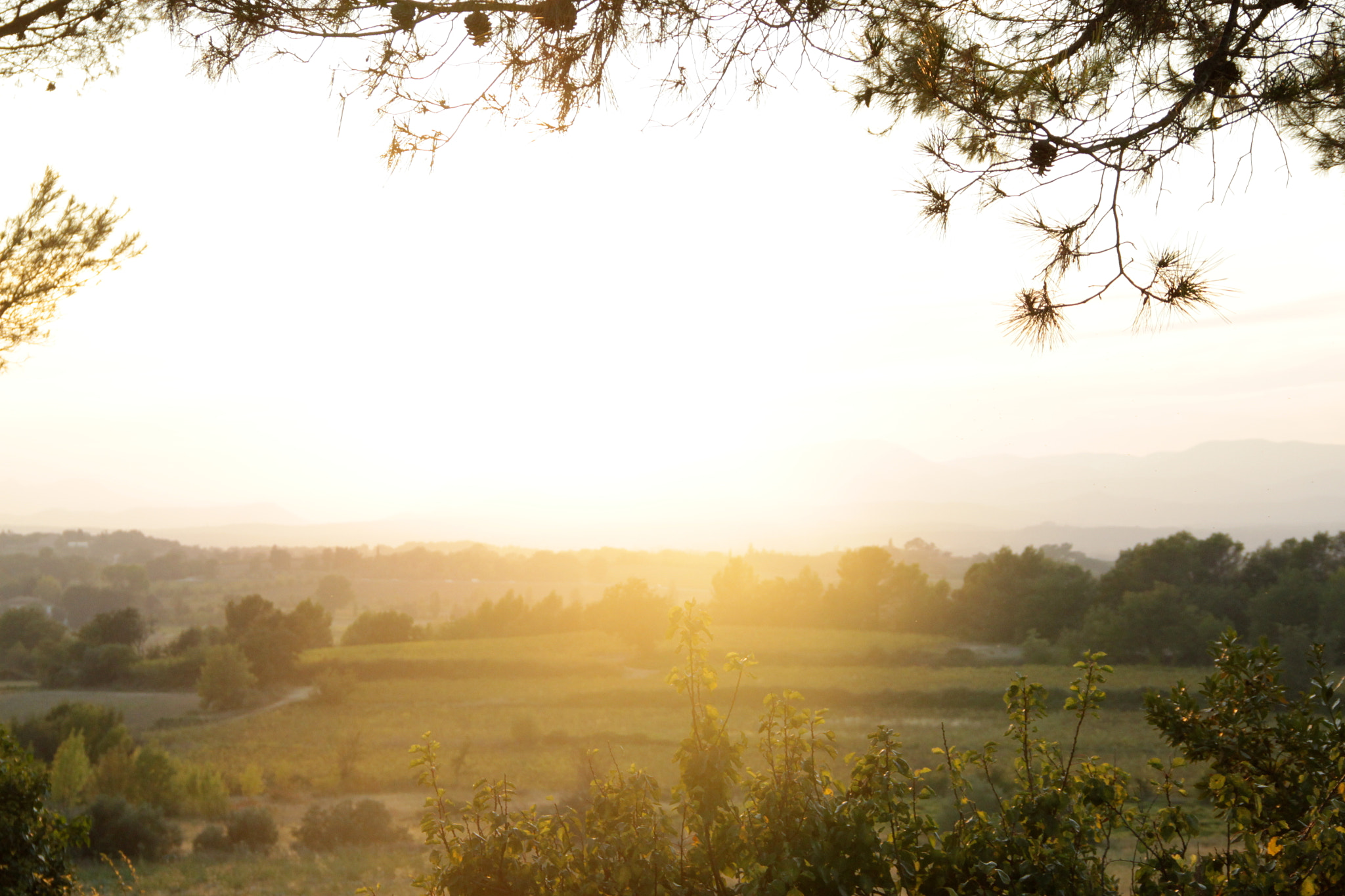 Canon EOS 500D (EOS Rebel T1i / EOS Kiss X3) sample photo. Sunset in languedoc rousson photography