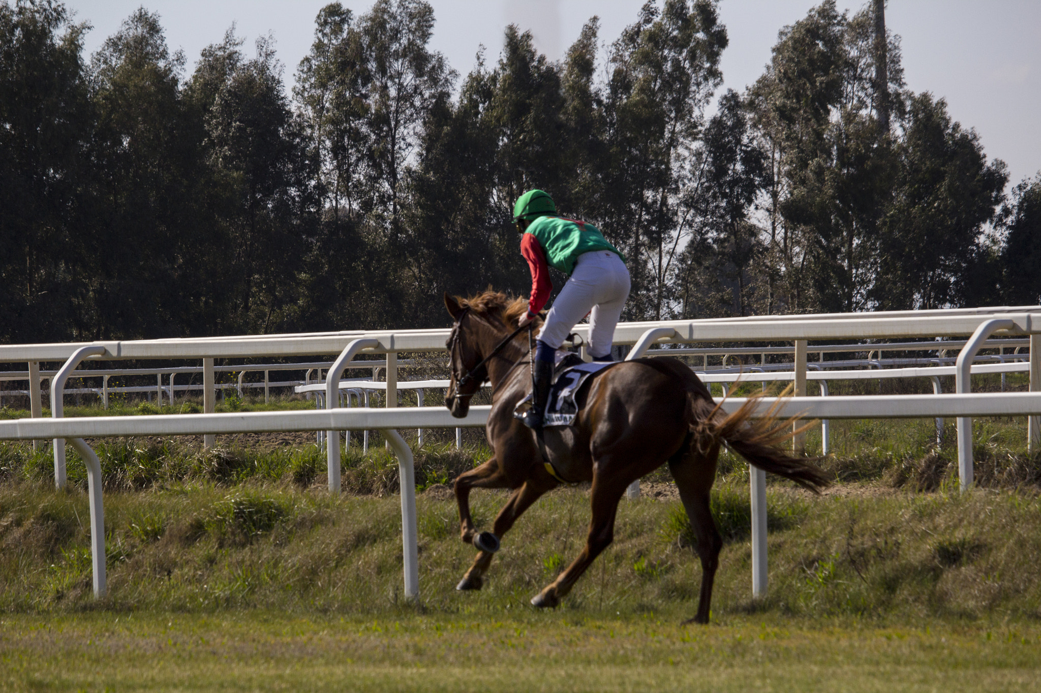 Canon EF-S 55-250mm F4-5.6 IS STM sample photo. Runner photography