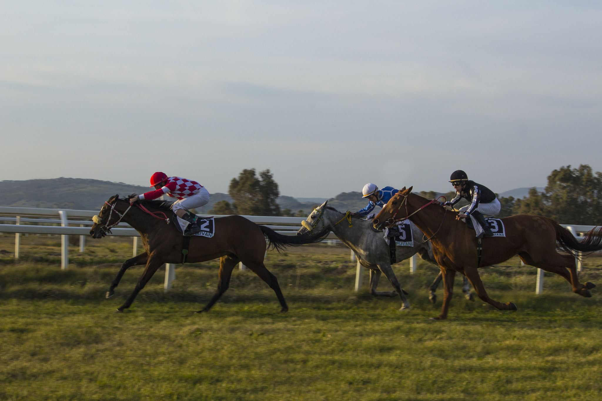Canon EF-S 55-250mm F4-5.6 IS STM sample photo. The race photography