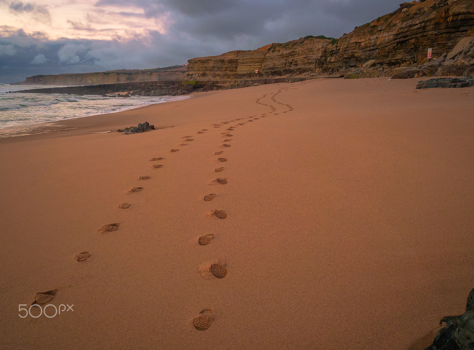 Olympus OM-D E-M10 + Olympus M.Zuiko Digital 17mm F1.8 sample photo. They will never walk alone photography