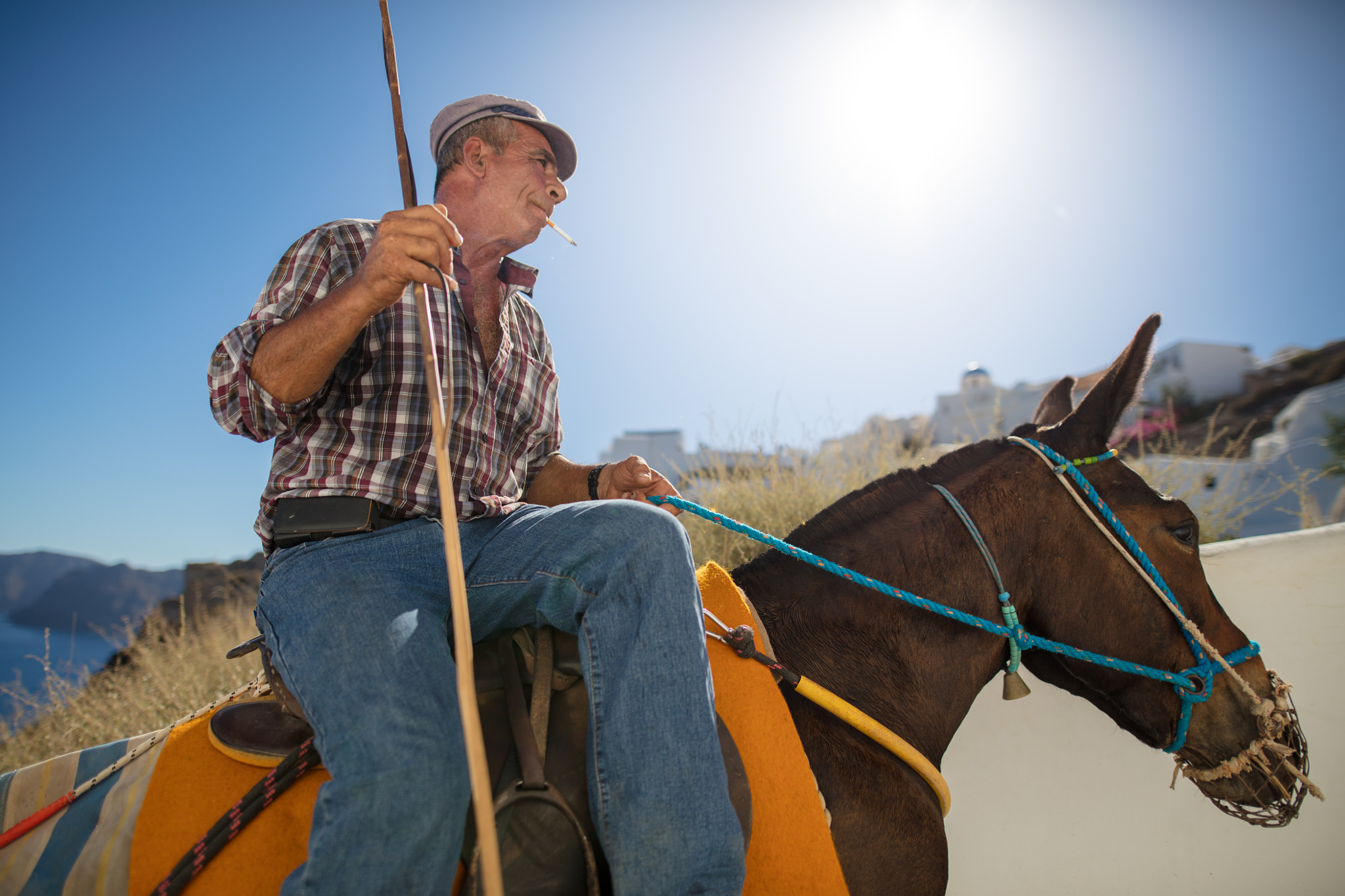 Sigma 20mm F1.4 DG HSM Art sample photo. Donkey rider photography