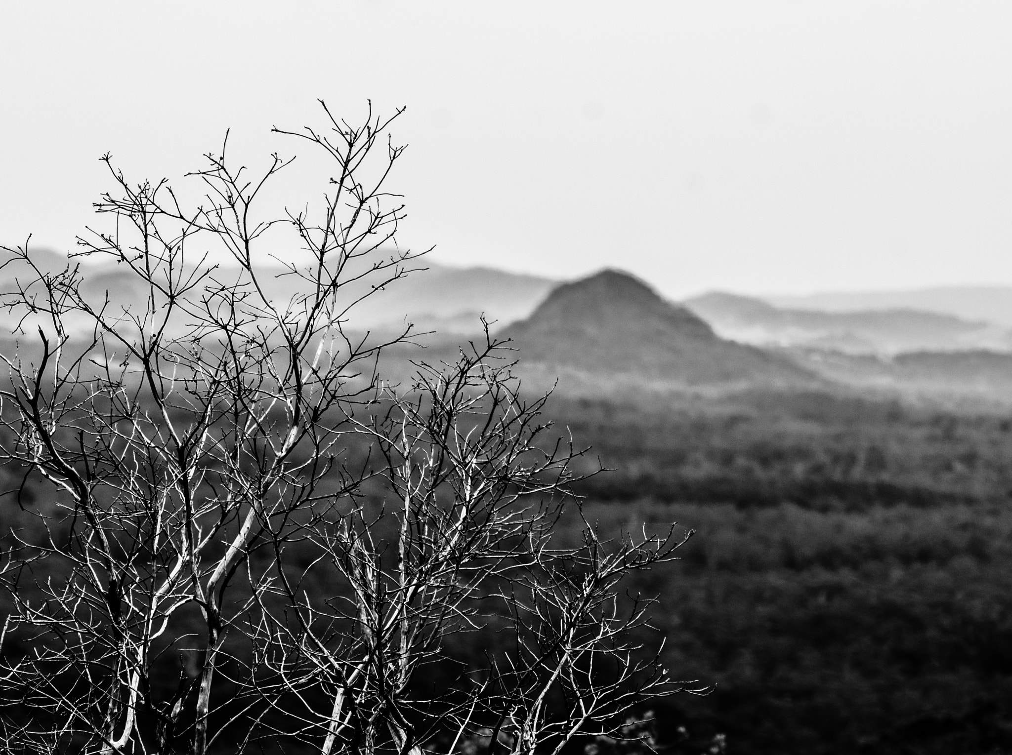 AF Nikkor 70-210mm f/4-5.6D sample photo. Mountain photography