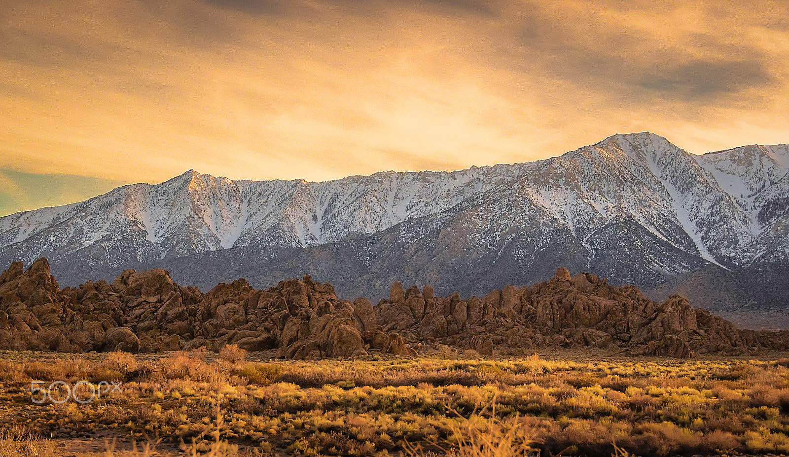Nikon AF-S Nikkor 16-35mm F4G ED VR sample photo. Sagebrush sunset photography