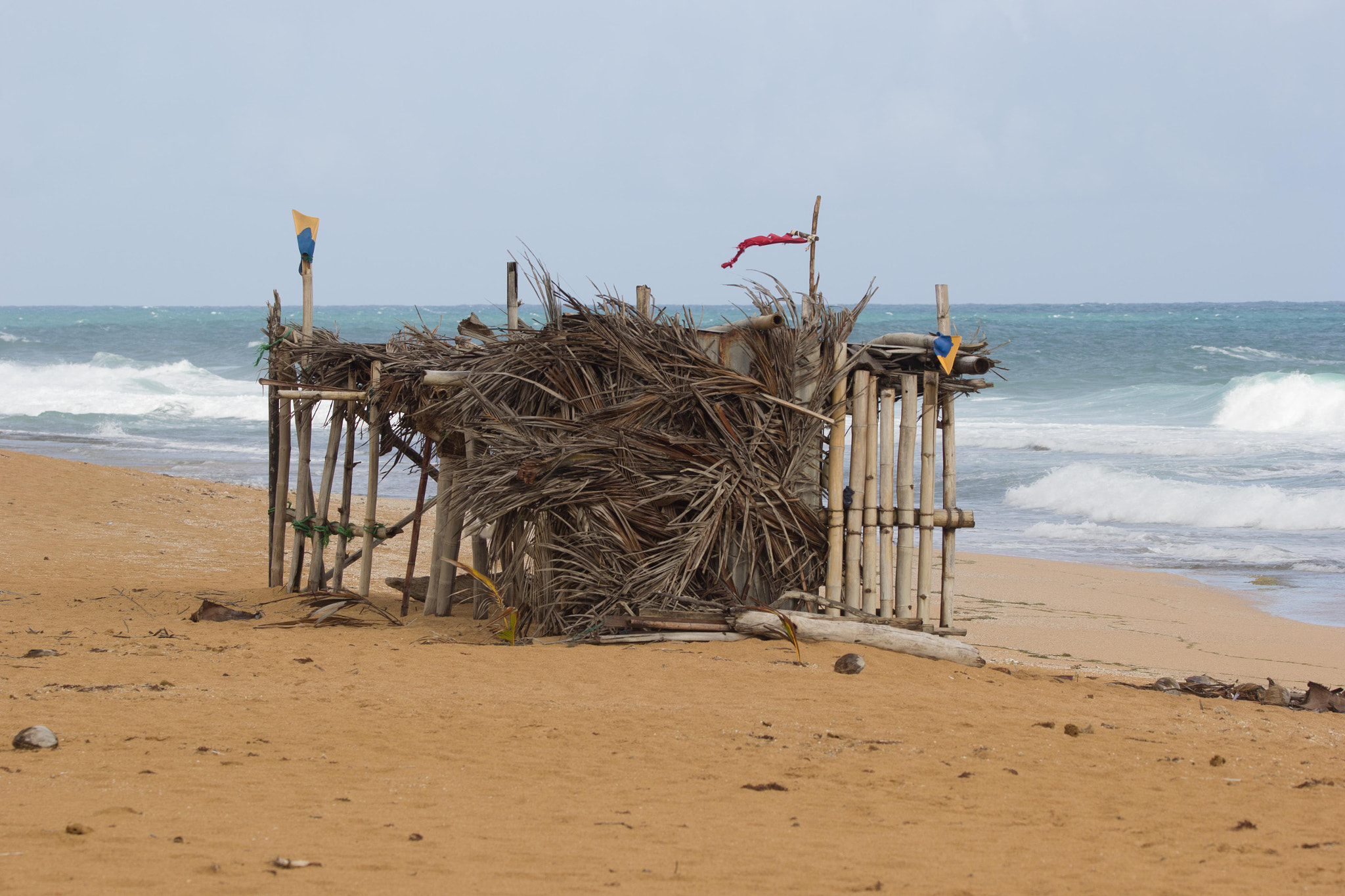 Sigma 150-600mm F5-6.3 DG OS HSM | C sample photo. Playa aviones, puerto rico photography