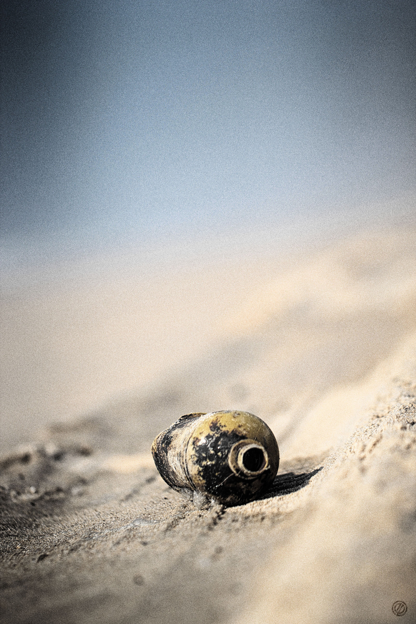 Canon EF 100mm F2.8L Macro IS USM sample photo. Pollution photography