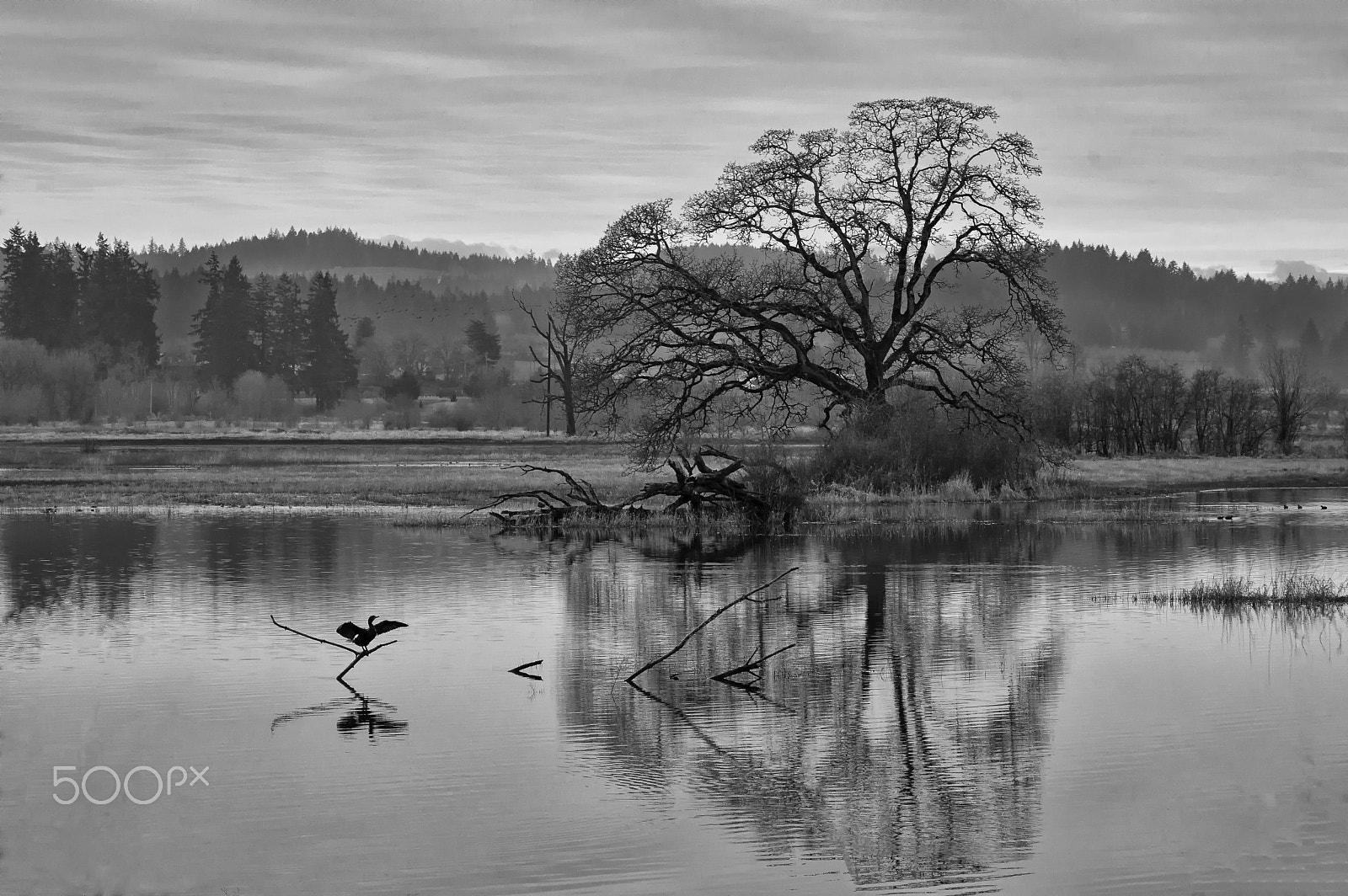 Pentax smc DA 55-300mm F4.0-5.8 ED sample photo. Refuge reflections photography