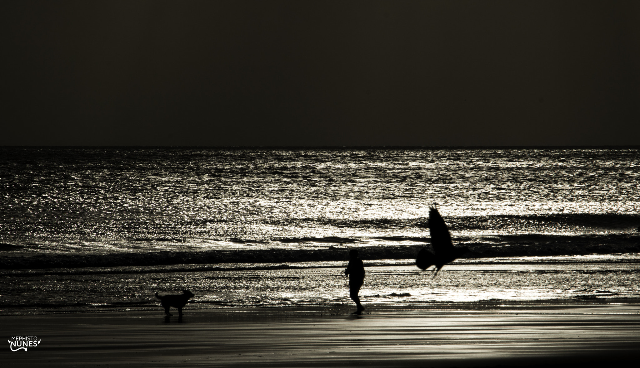 Canon EF-S 55-250mm F4-5.6 IS STM sample photo. Silver waters  photography