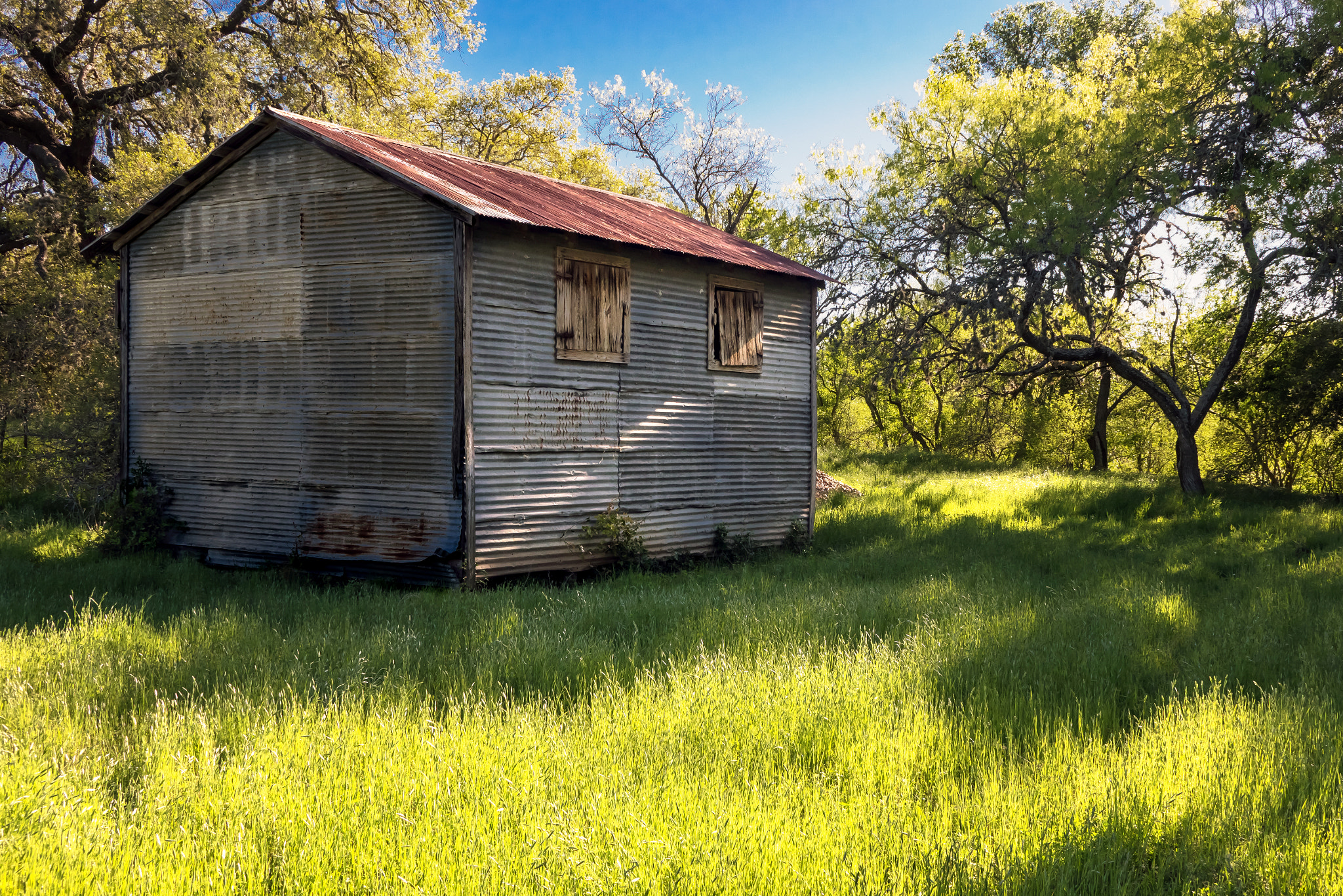 Sony Cyber-shot DSC-RX10 + 24-200mm F2.8 sample photo. Shed in afternoon light photography