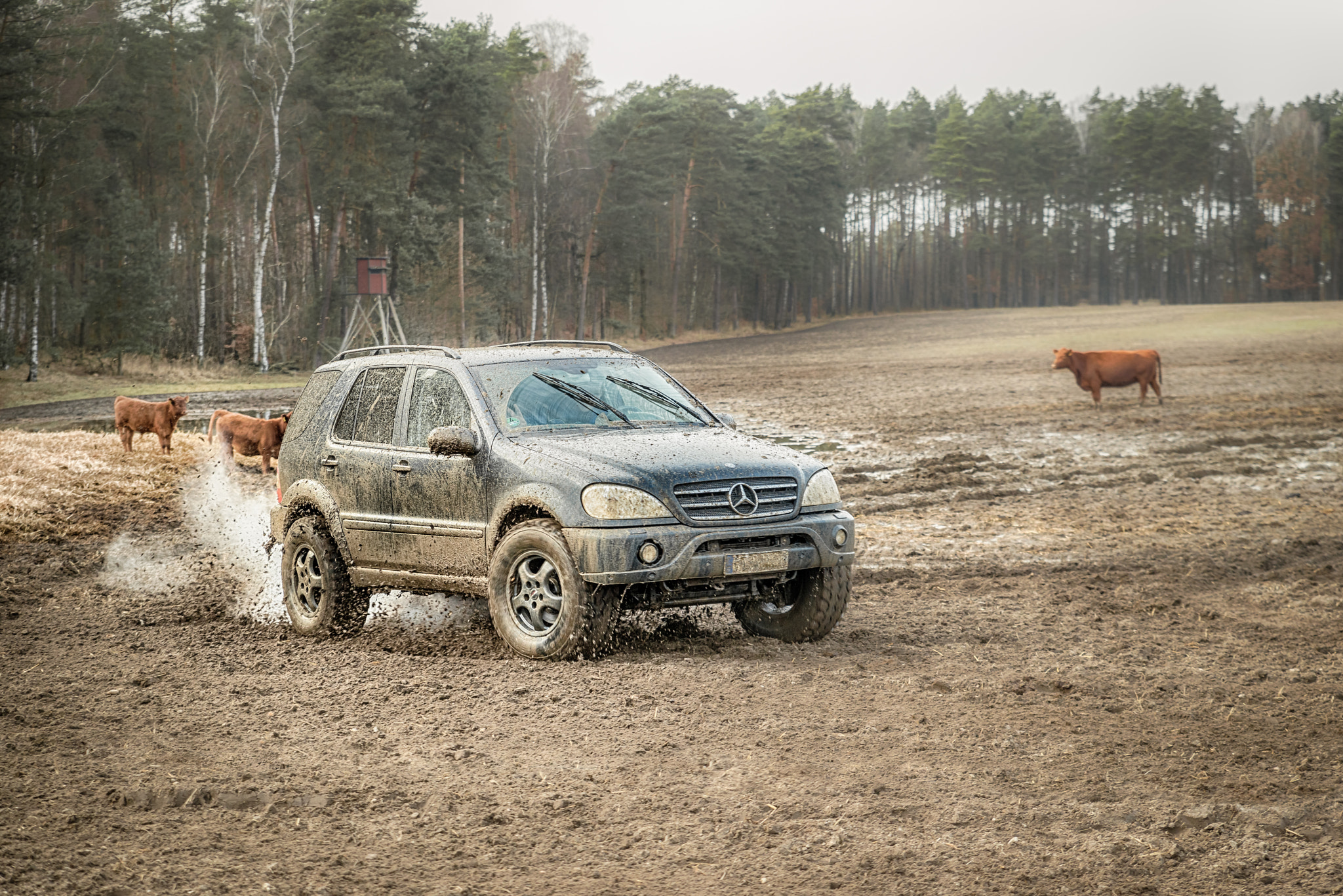 Tamron SP 24-70mm F2.8 Di VC USD sample photo. Offroad photography