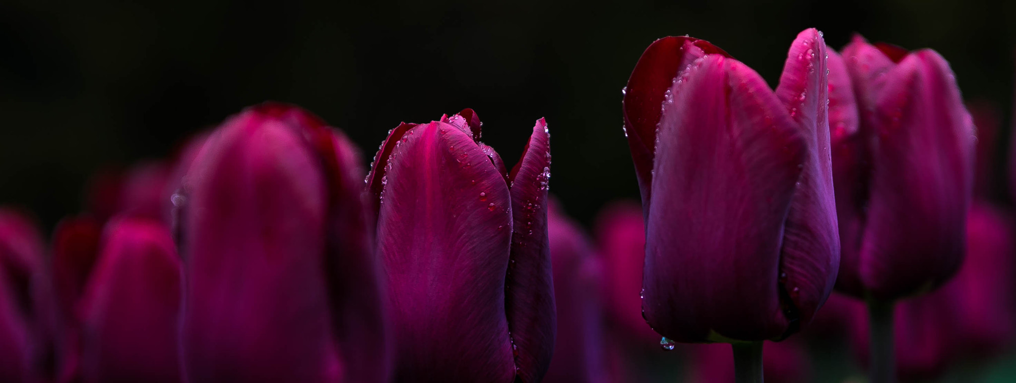 Nikon AF-S Nikkor 24-70mm F2.8E ED VR sample photo