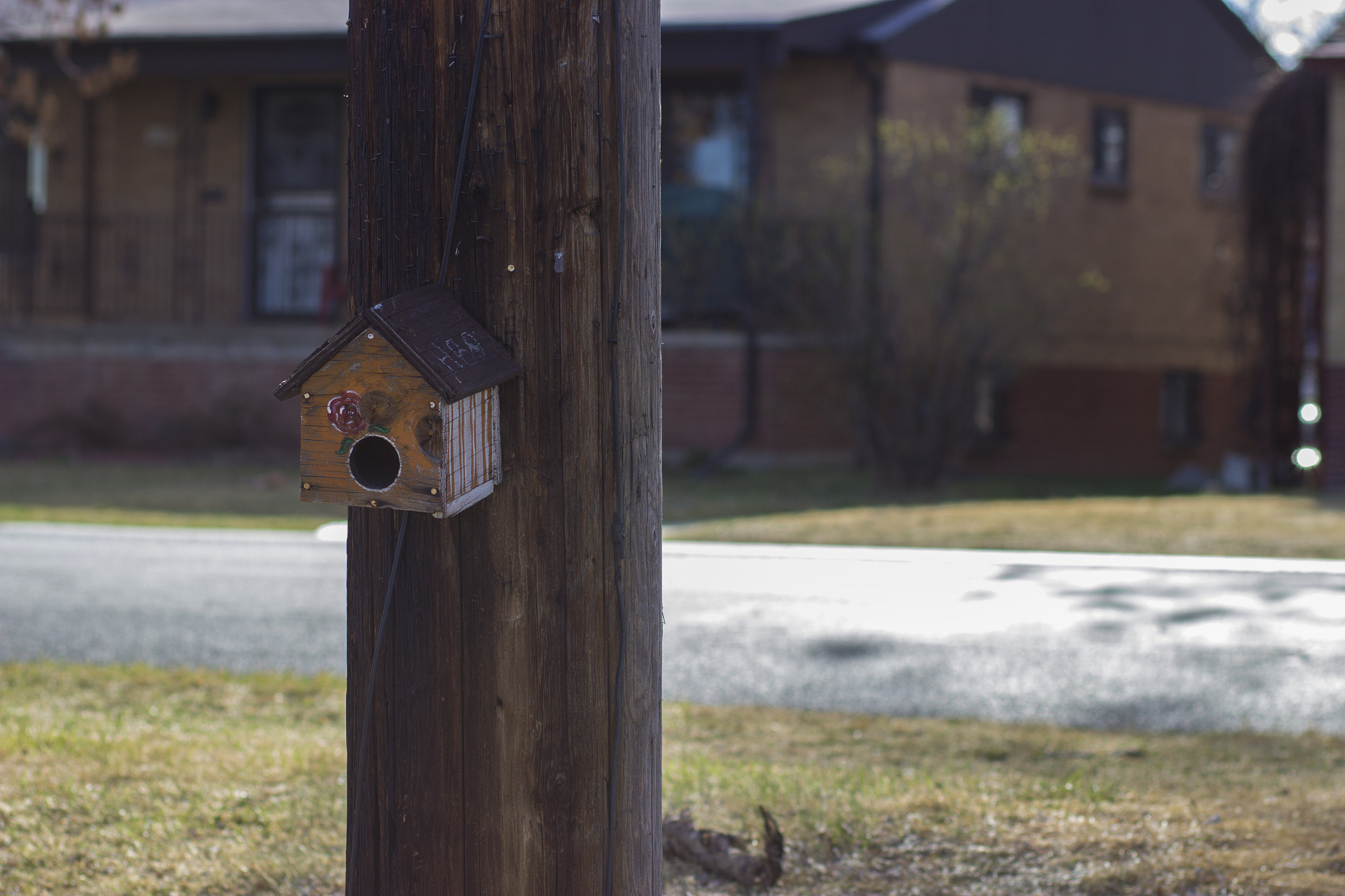 Canon EF 85mm F1.8 USM sample photo. Bird house photography