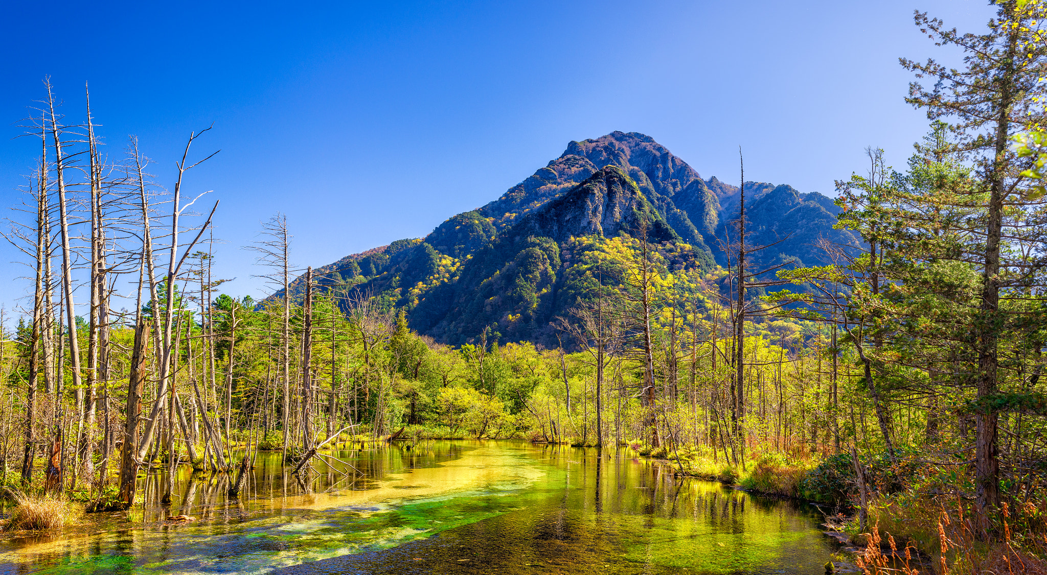 Nikon D800 + Samyang 35mm F1.4 AS UMC sample photo. Kasumizawa / hotaka-dake photography