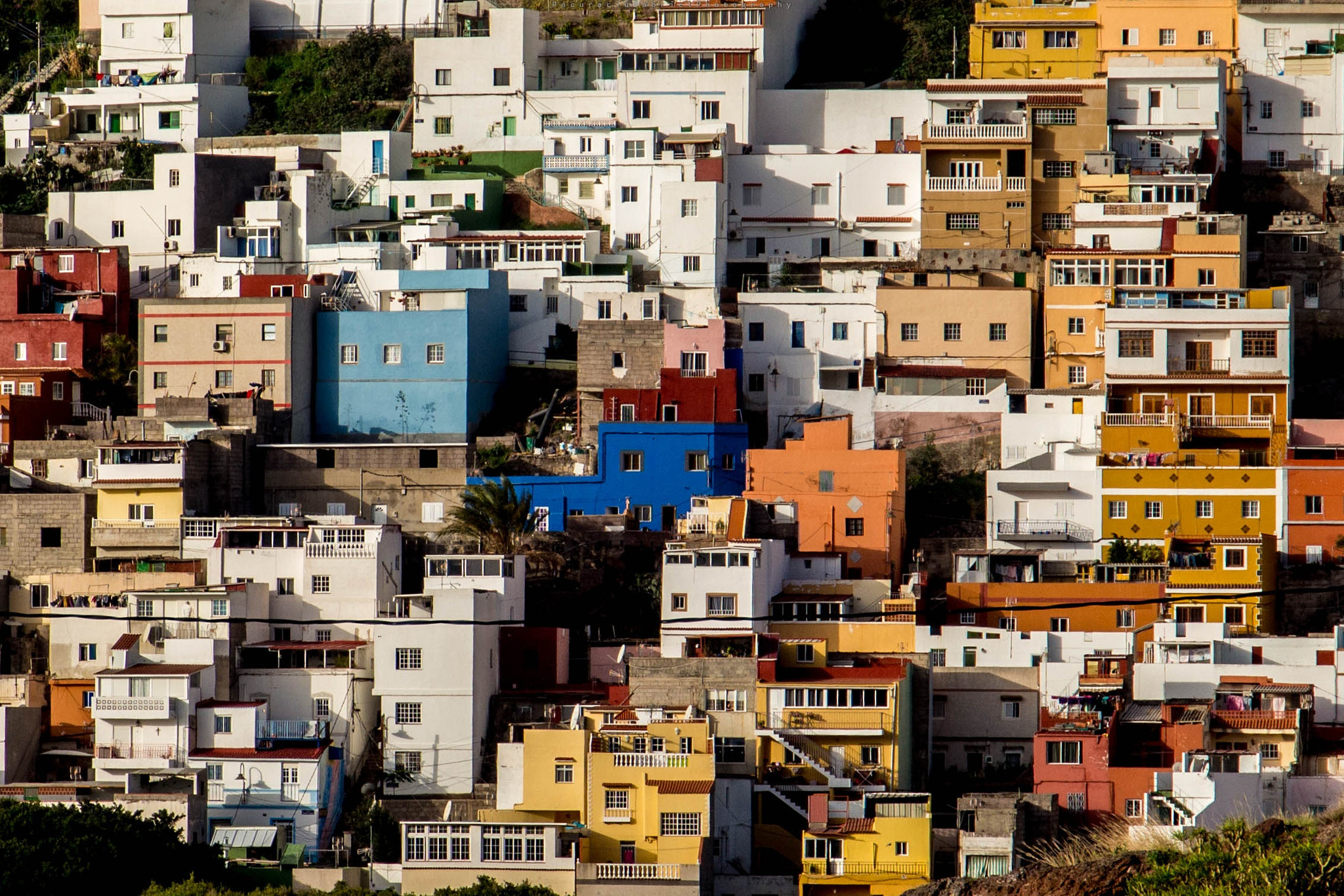 Canon EF 24-105mm F3.5-5.6 IS STM sample photo. San andrés photography