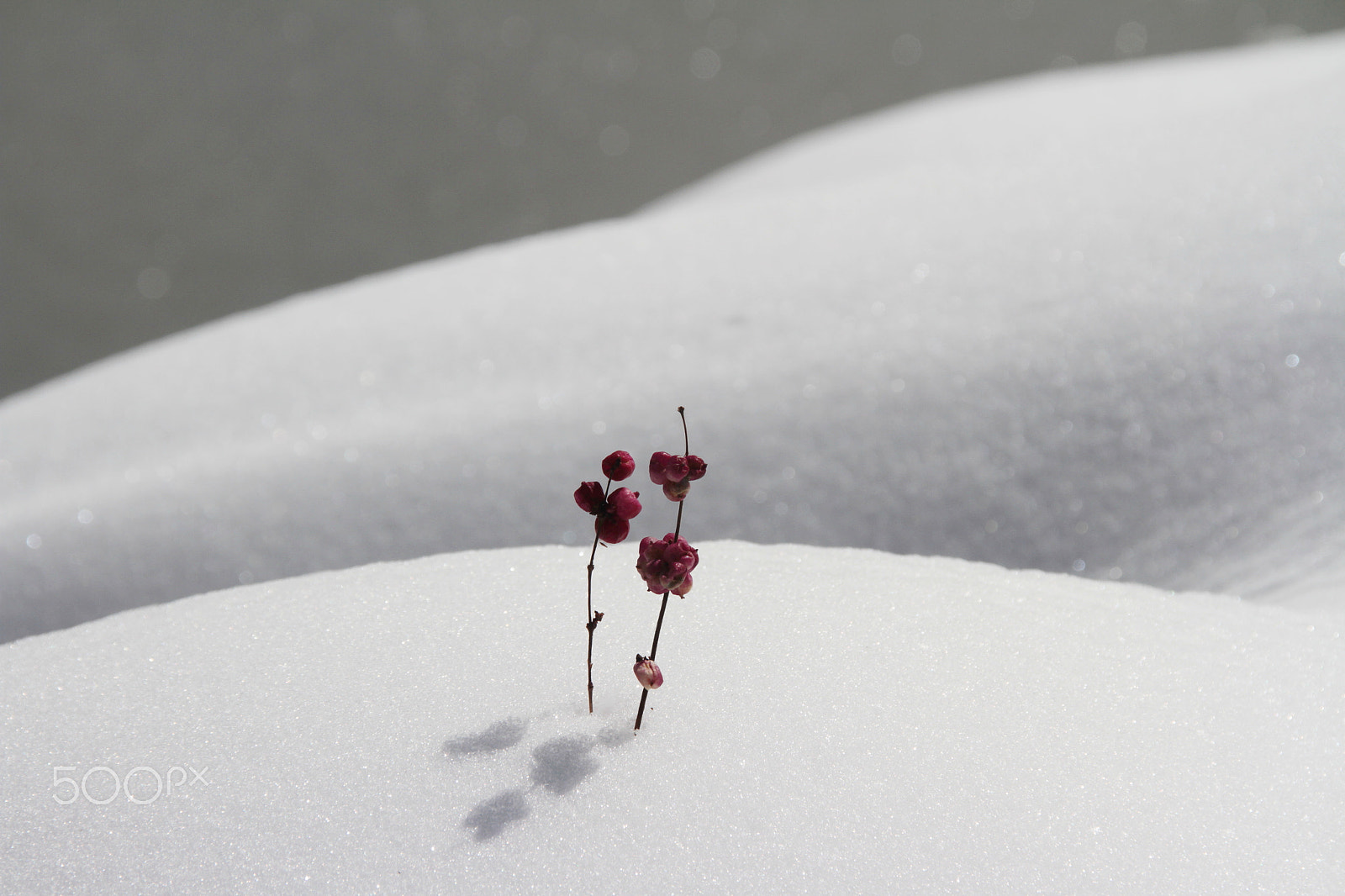 Sigma 18-200mm f/3.5-6.3 DC OS sample photo. Changing photography
