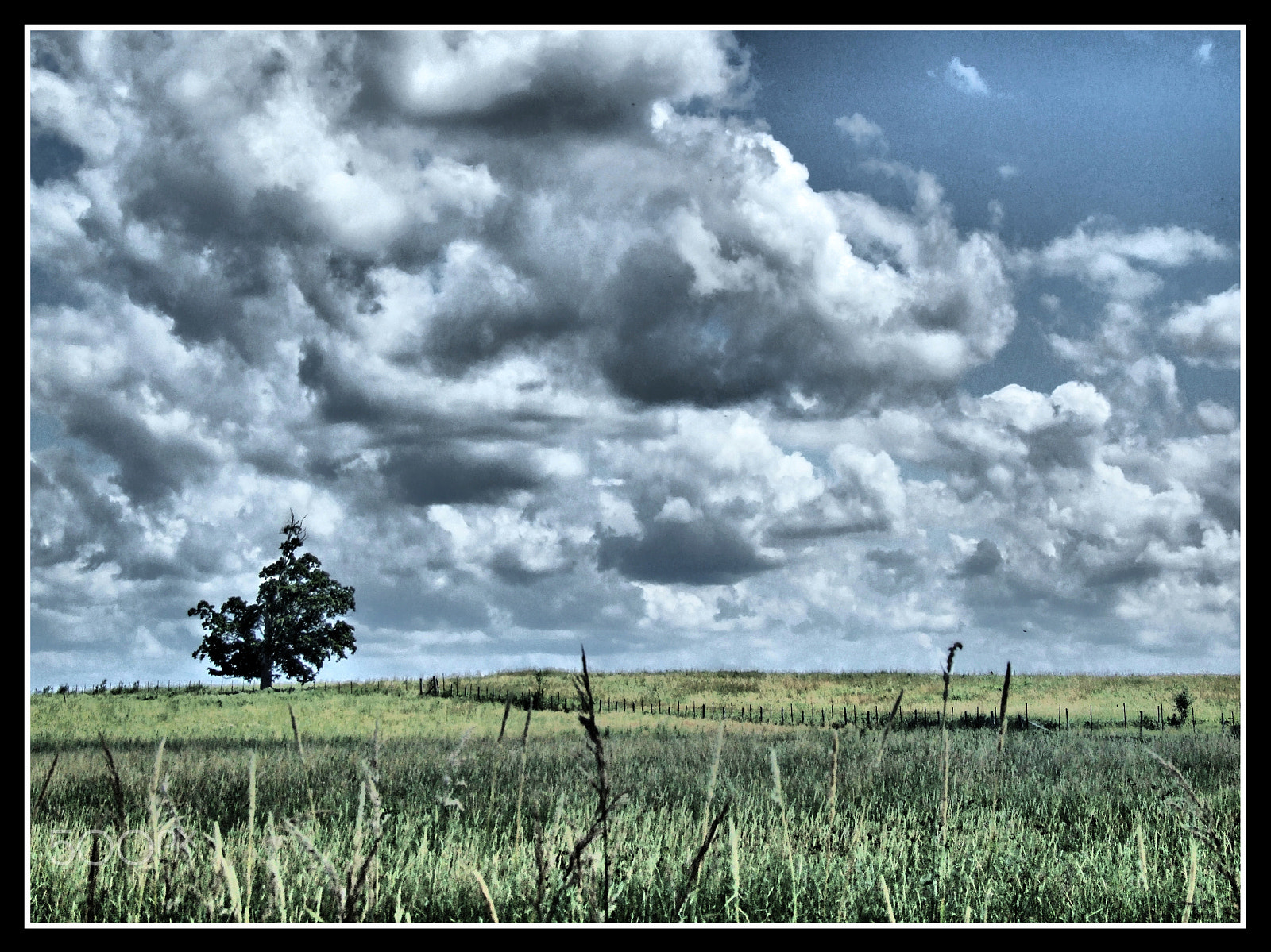 Fujifilm FinePix S9000 sample photo. Field of clouds photography