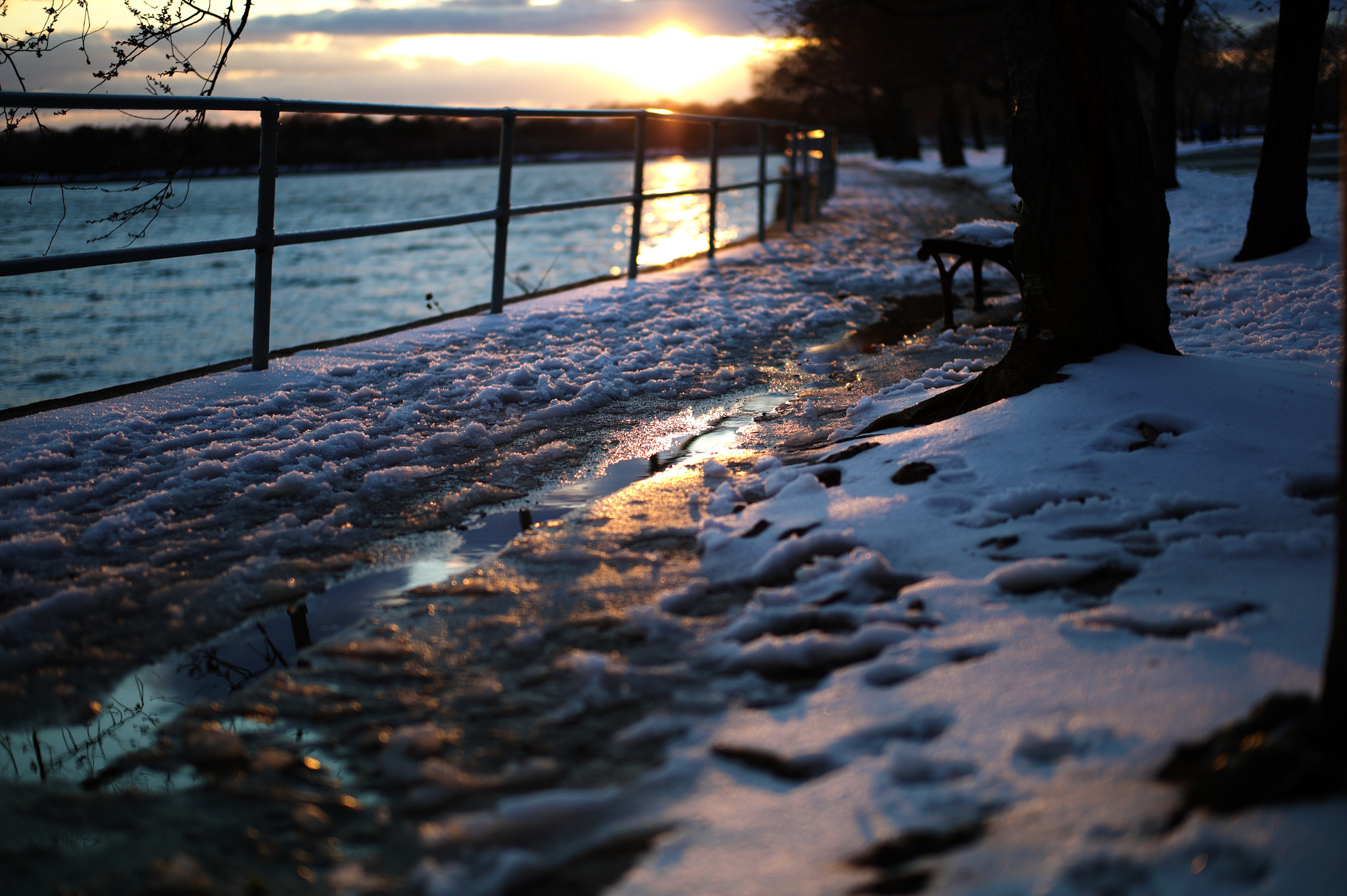 Leica M9 + Leica Summilux-M 50mm F1.4 ASPH sample photo. Life like photography