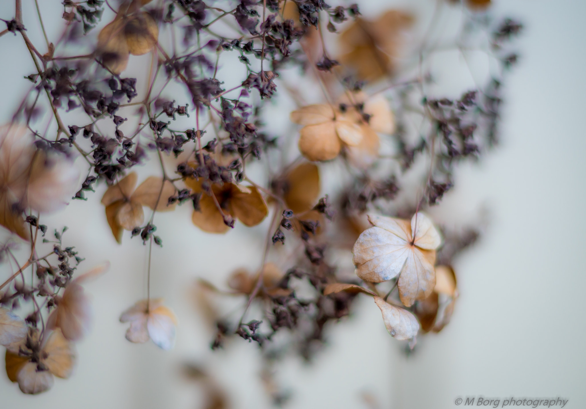 Sony ILCA-77M2 + Sony 50mm F1.4 sample photo. There is beauty to be found most everywhere photography