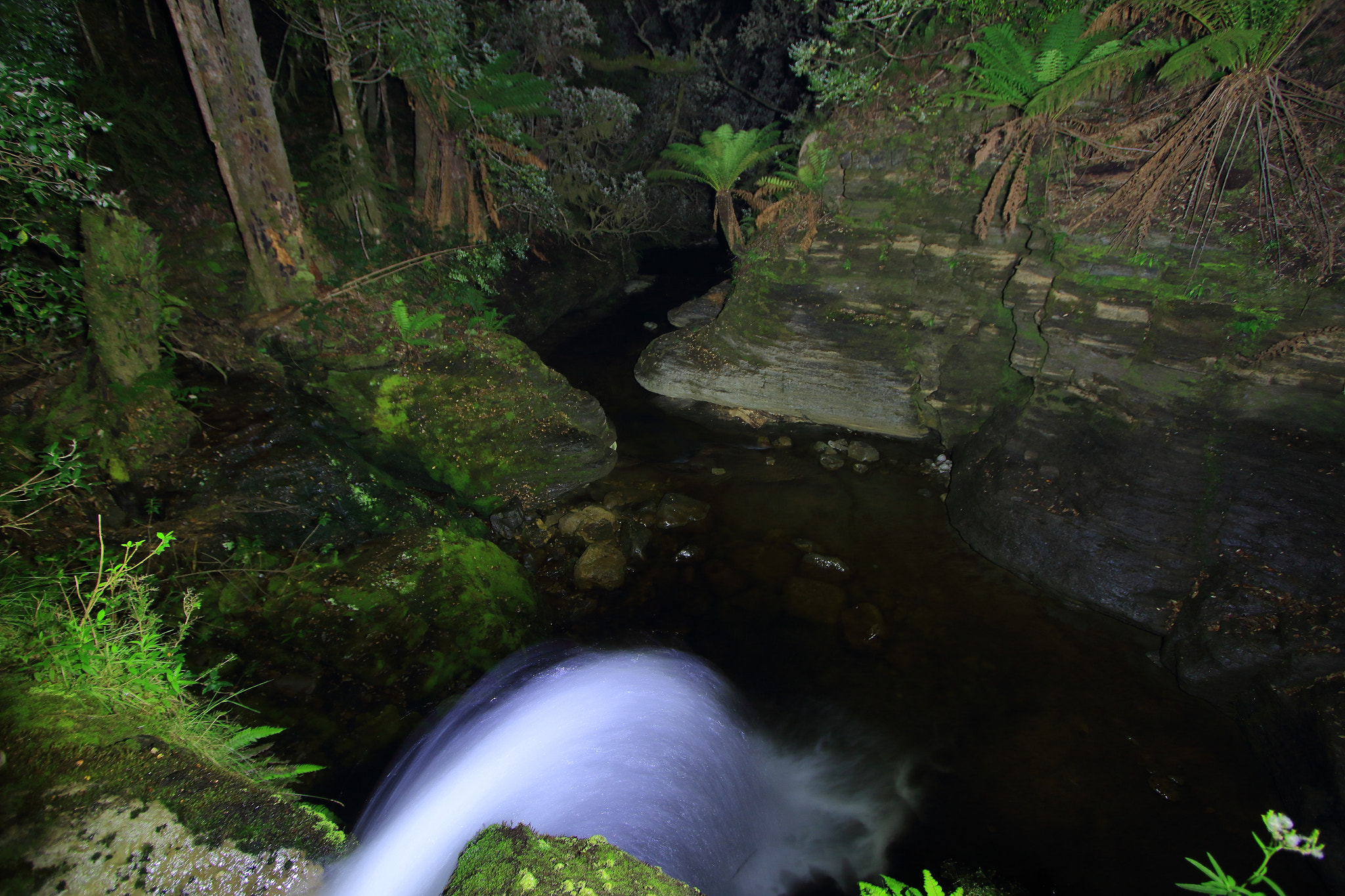 Canon EF-S 10-22mm F3.5-4.5 USM sample photo. I'm "falling" for you photography